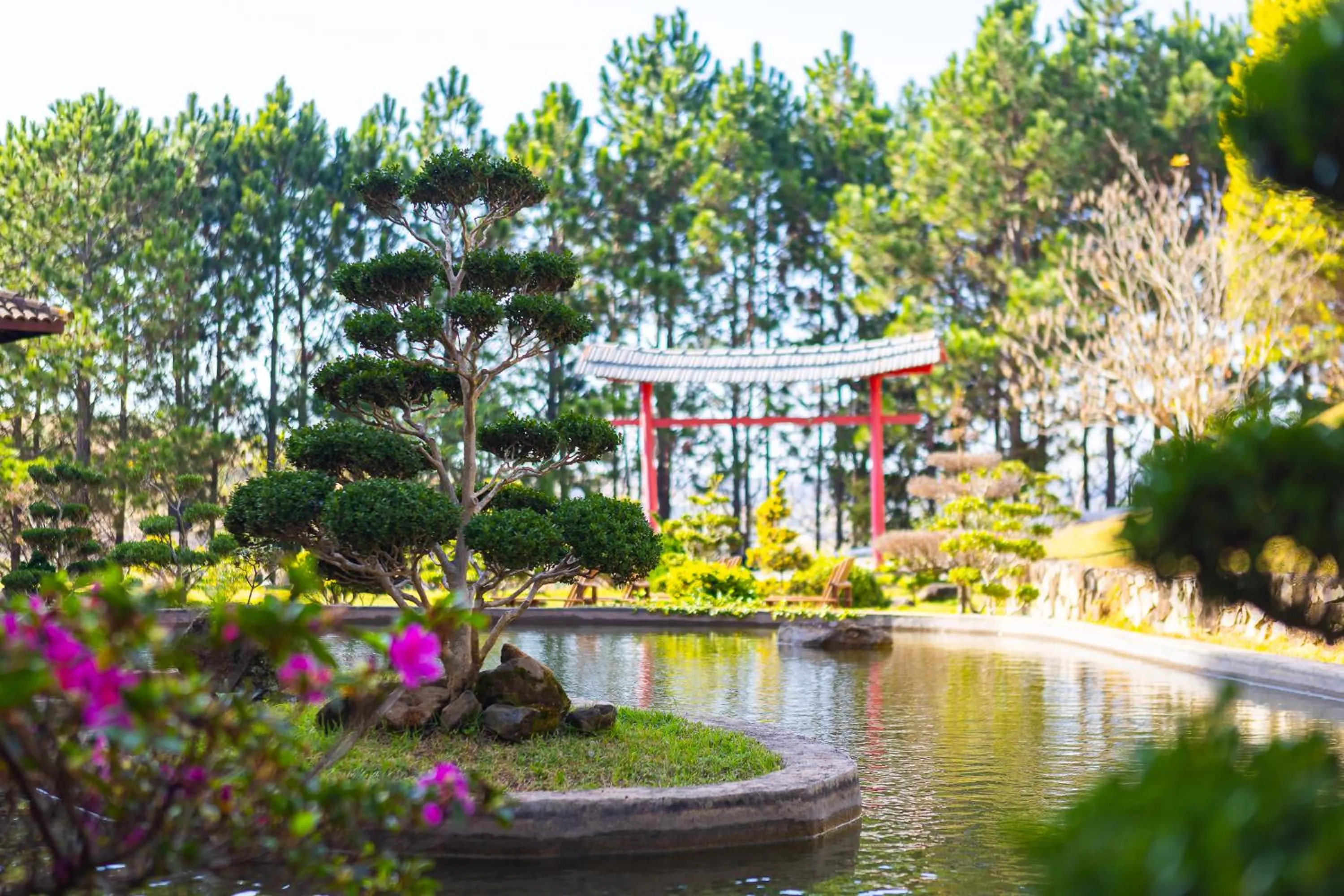 Garden in Hotel Golden Park All Inclusive Poços de Caldas By Nacional Inn