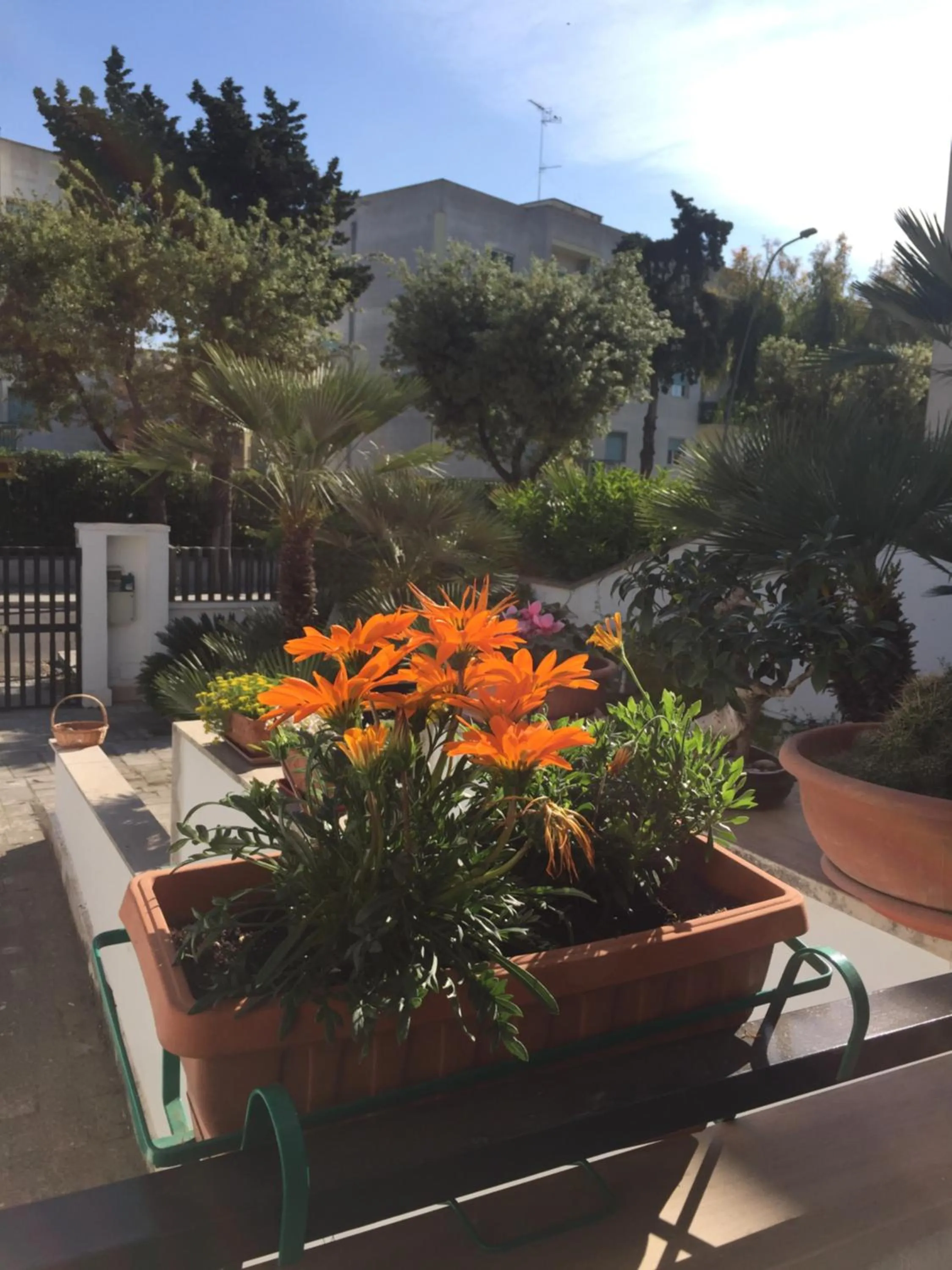 Balcony/Terrace in A casa di Gio