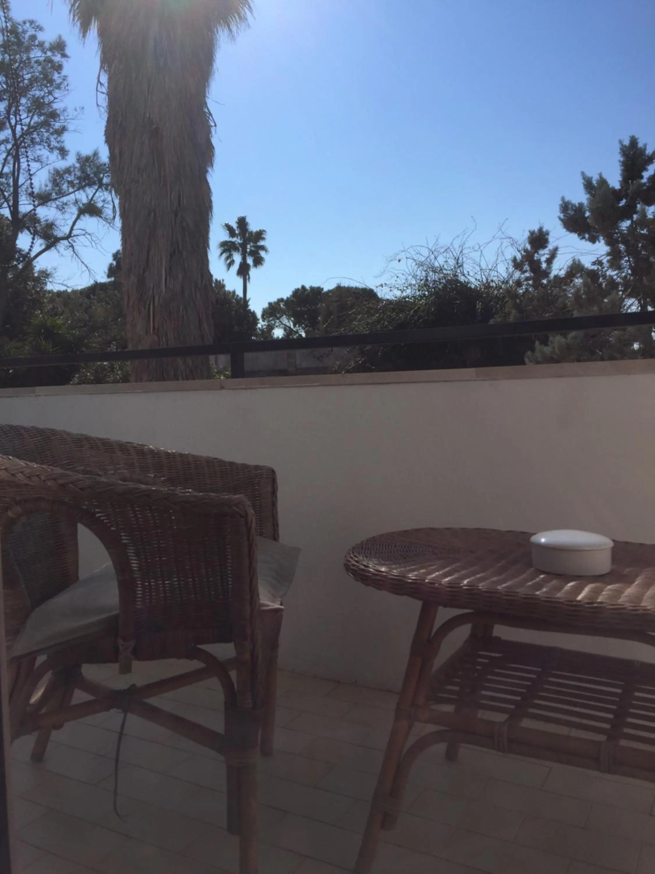 Garden view in A casa di Gio