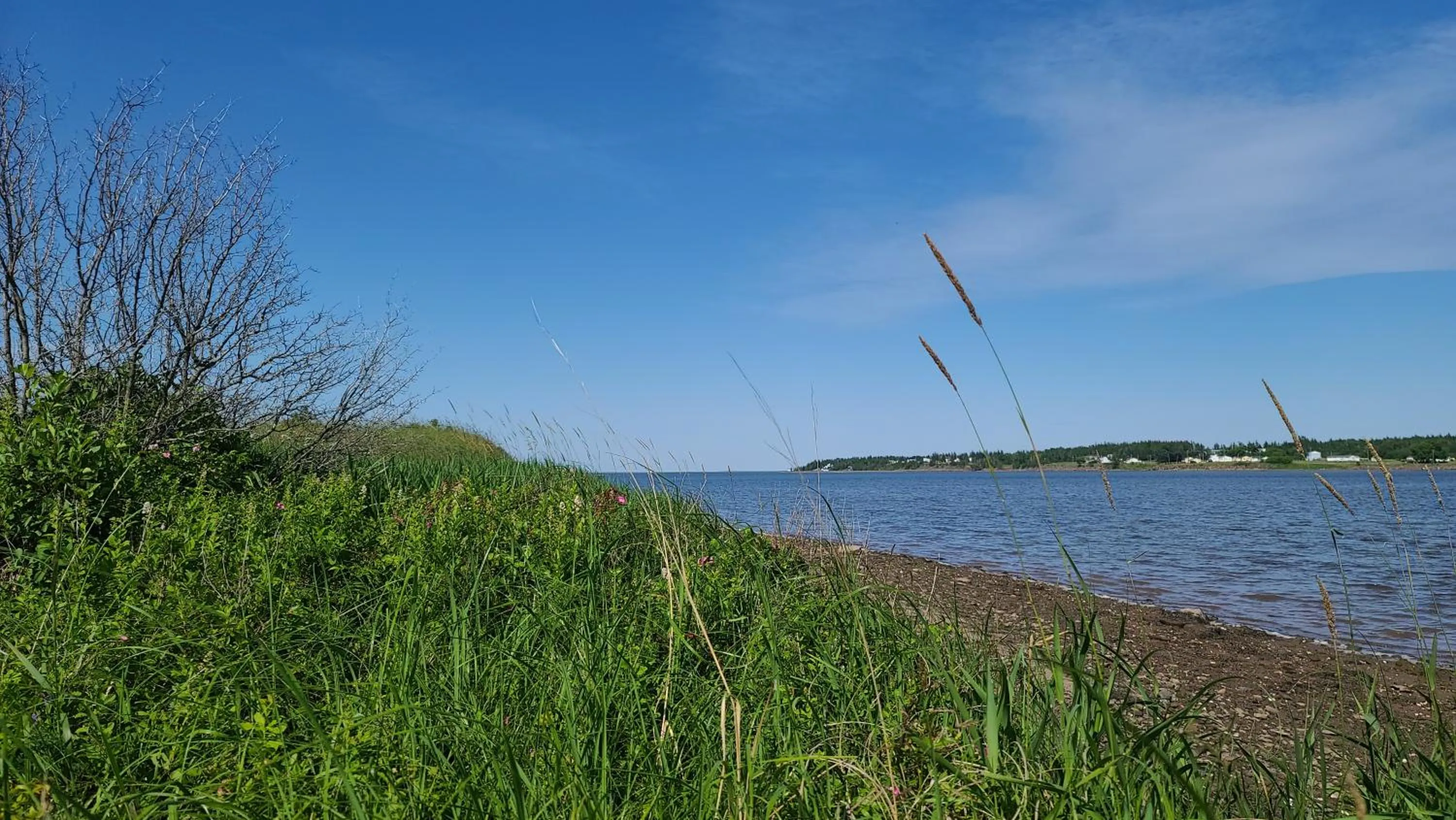 Natural landscape in Bouctouche Bay Inn