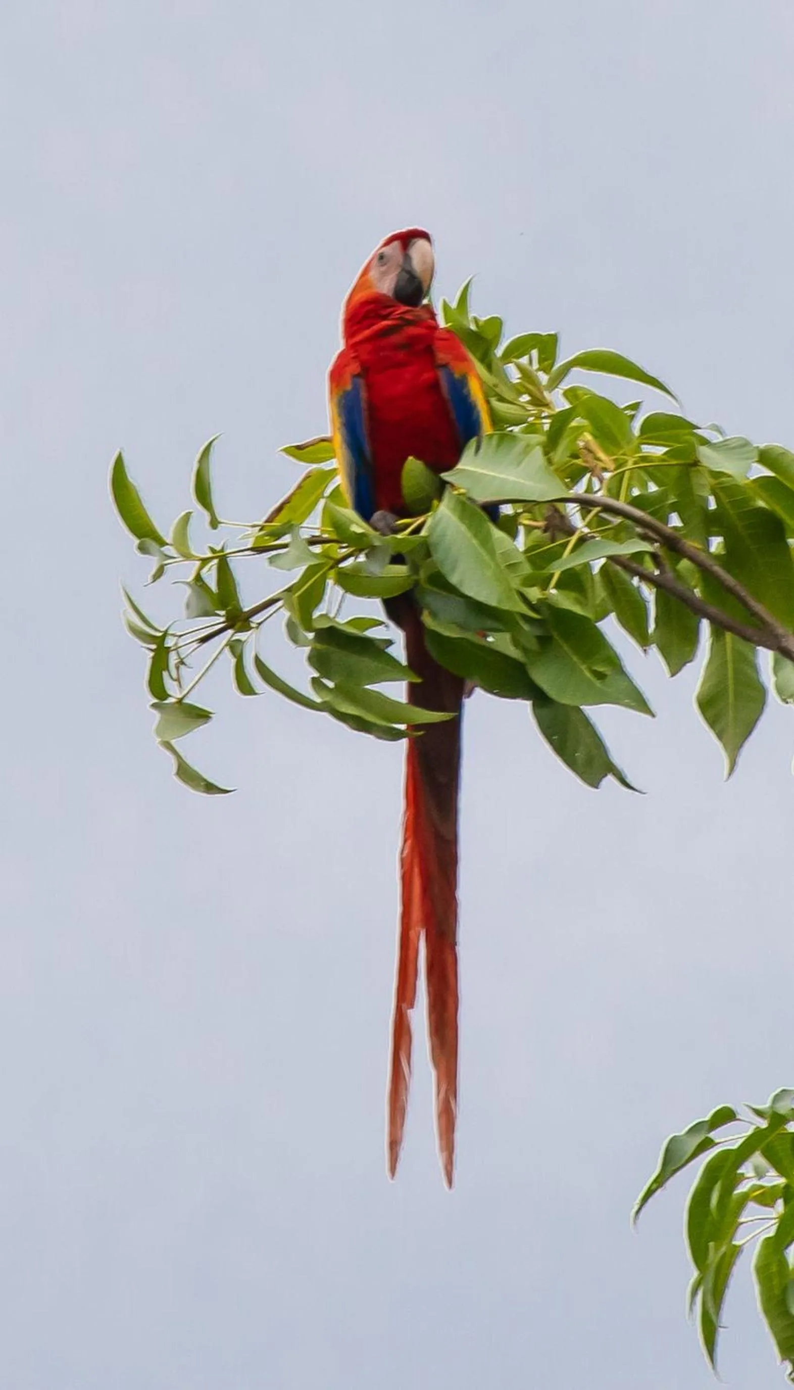 Natural landscape in La Ponderosa