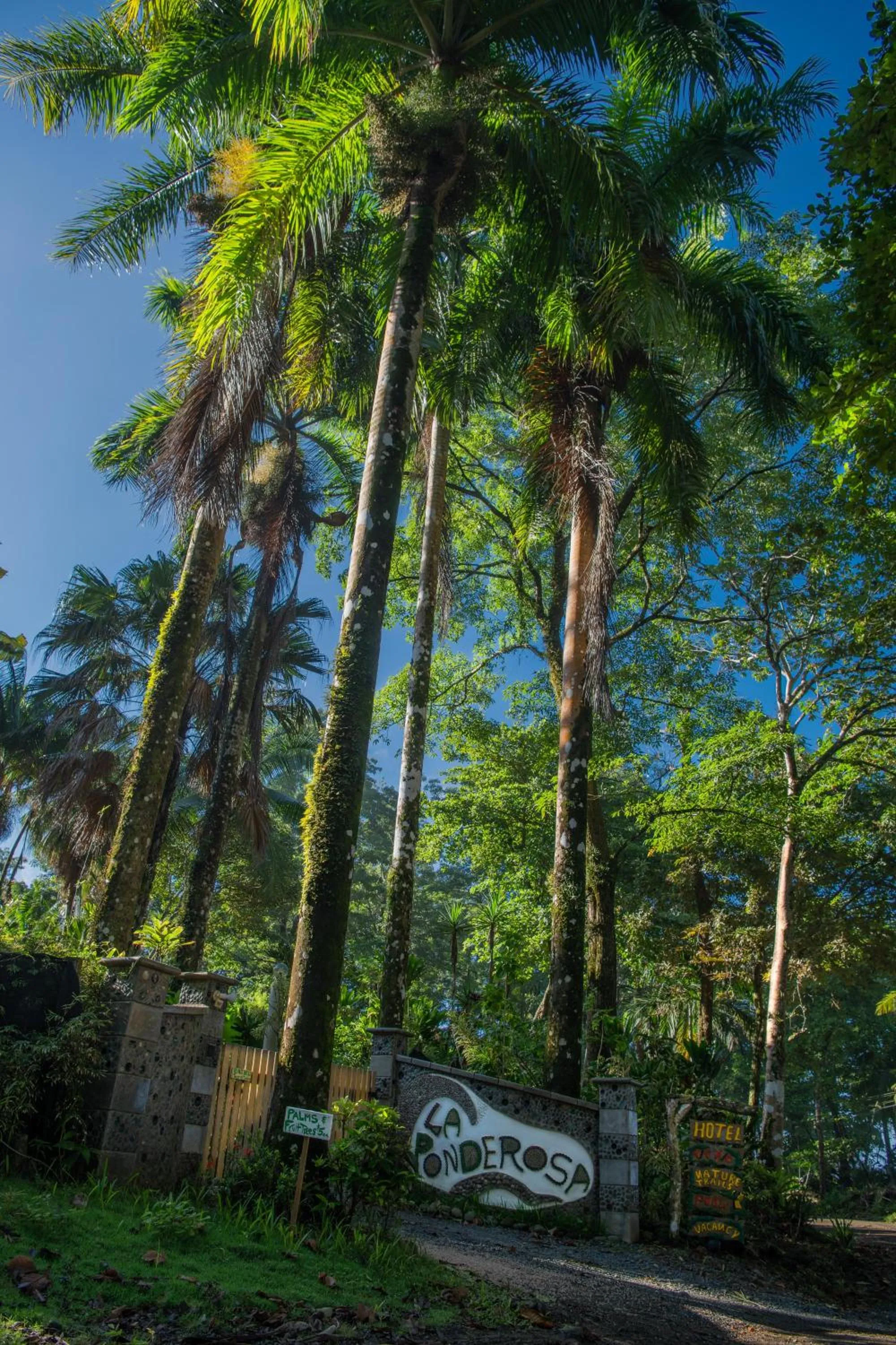 Facade/entrance in La Ponderosa