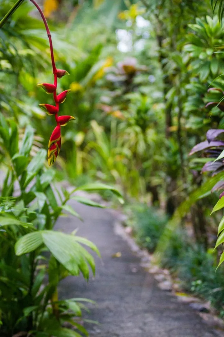 Natural landscape in La Ponderosa