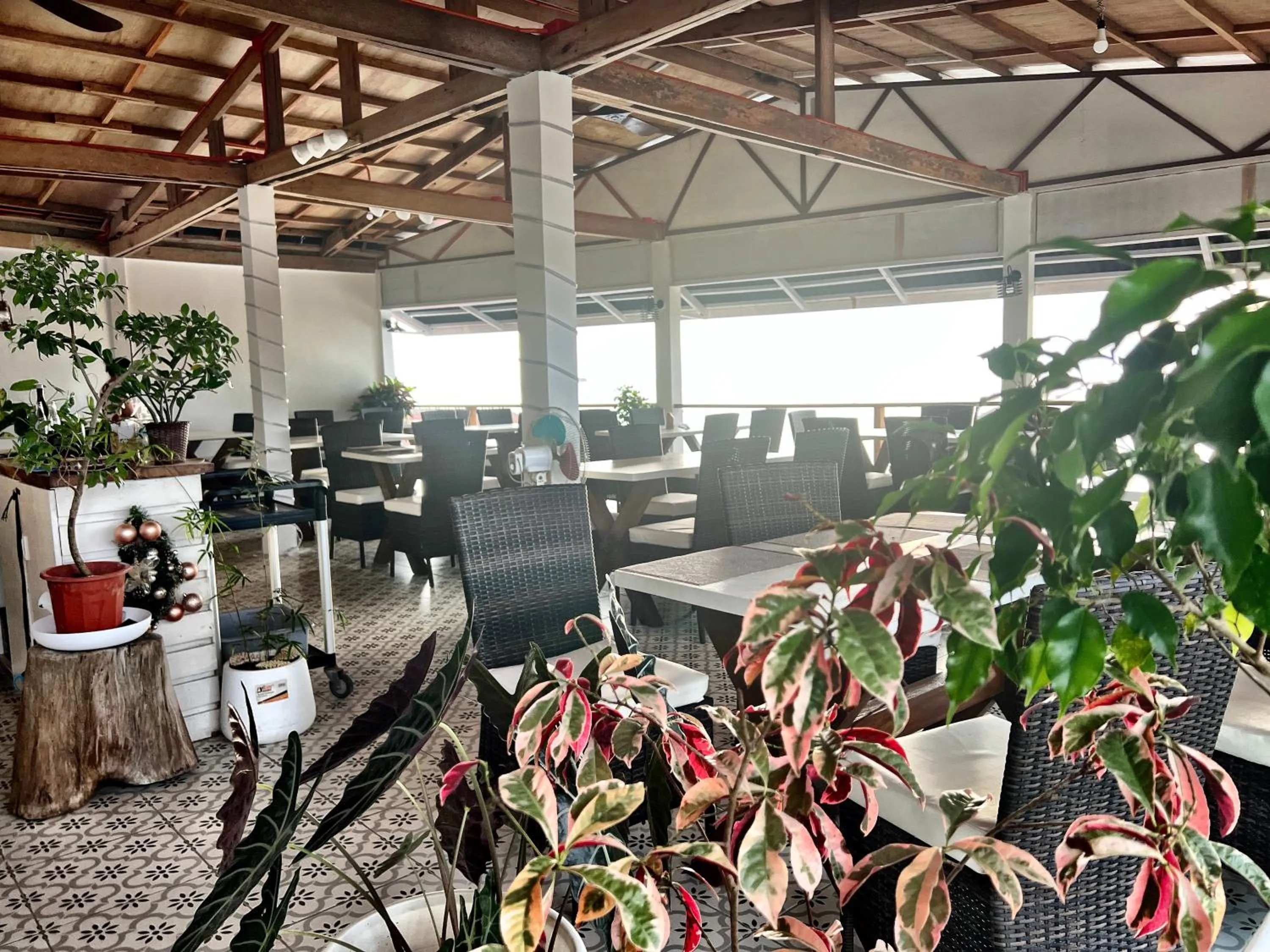 Restaurant/places to eat in Neptune Diving Resort Moalboal