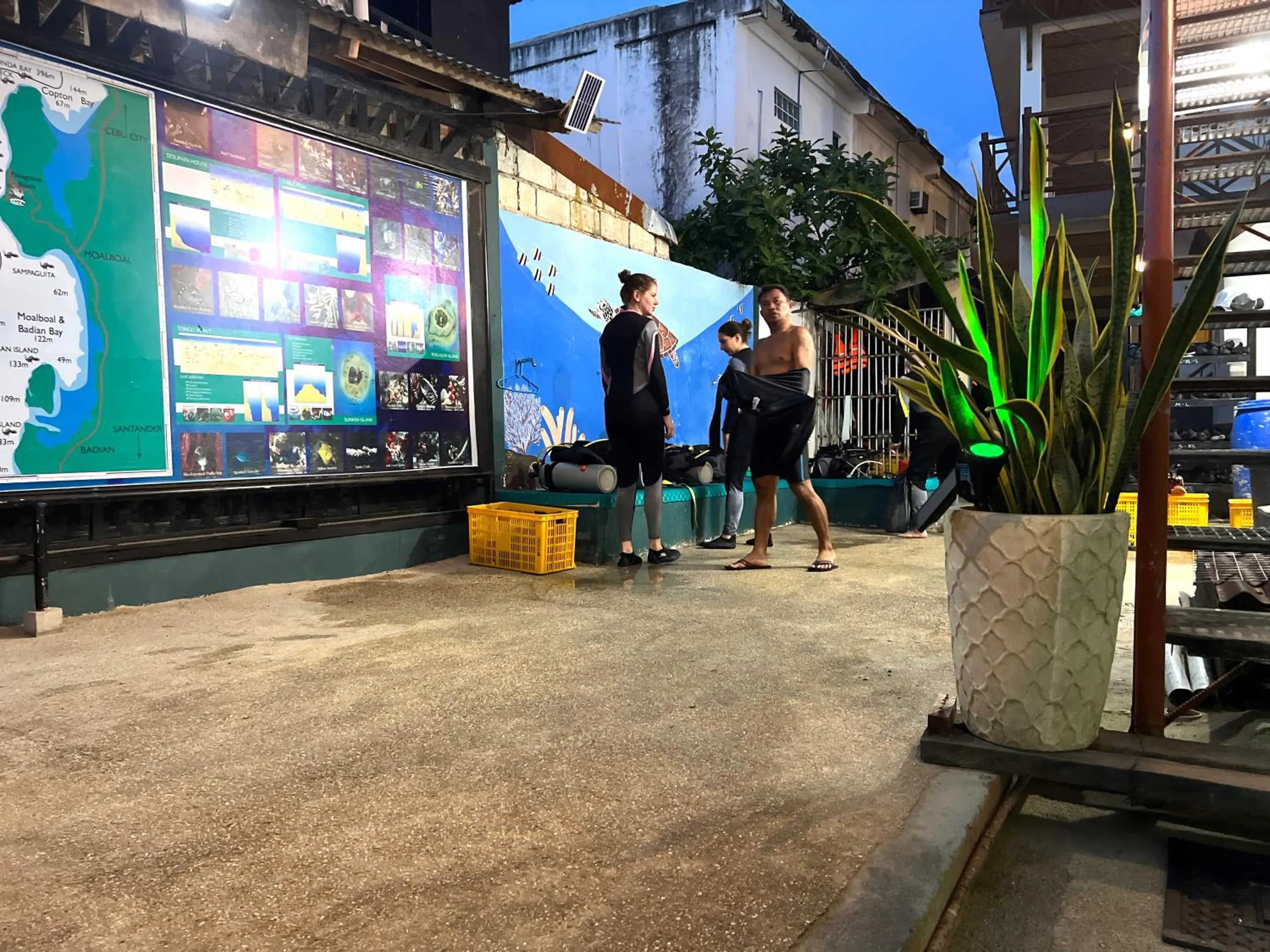 Diving in Neptune Diving Resort Moalboal