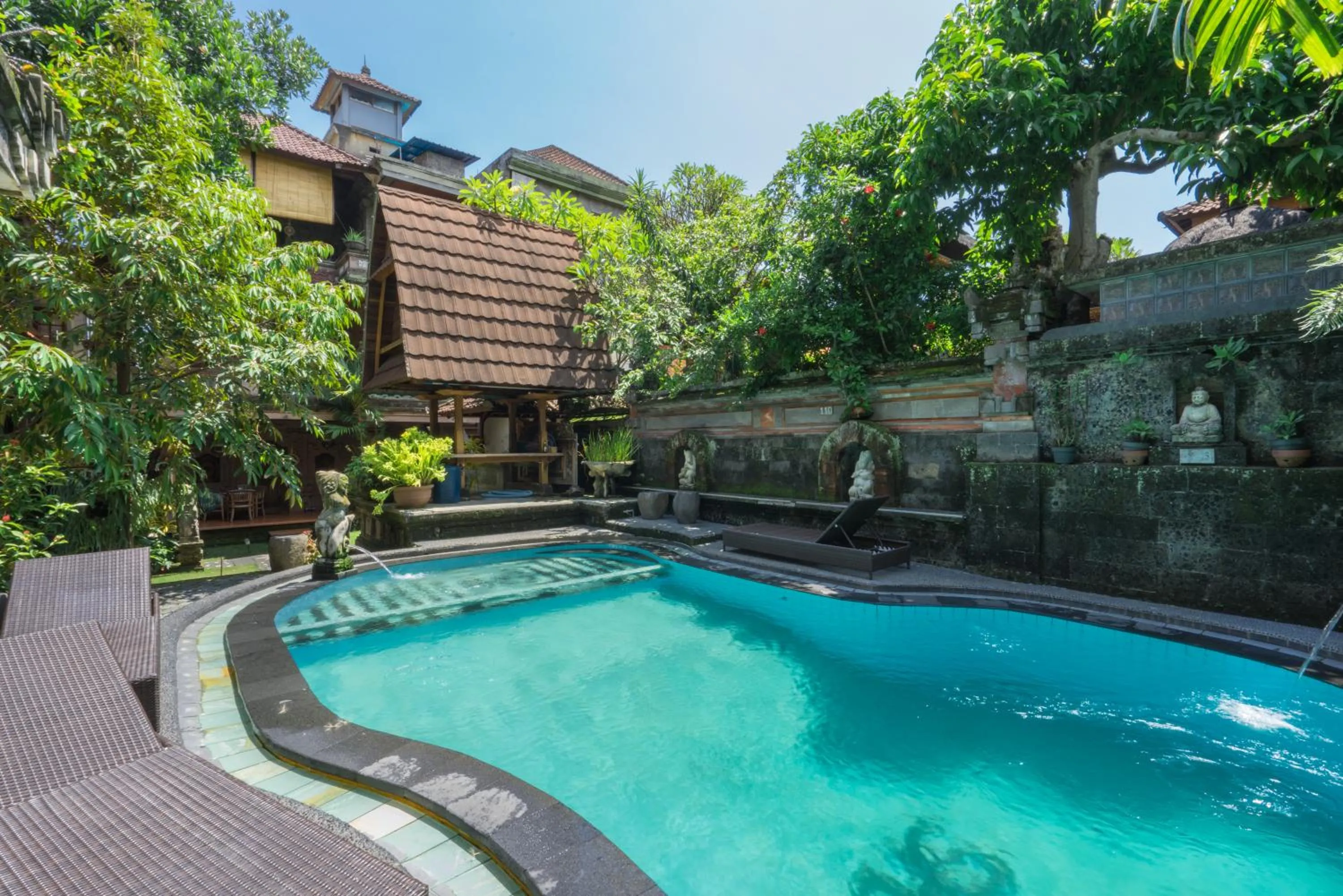 Swimming pool in Sania's House
