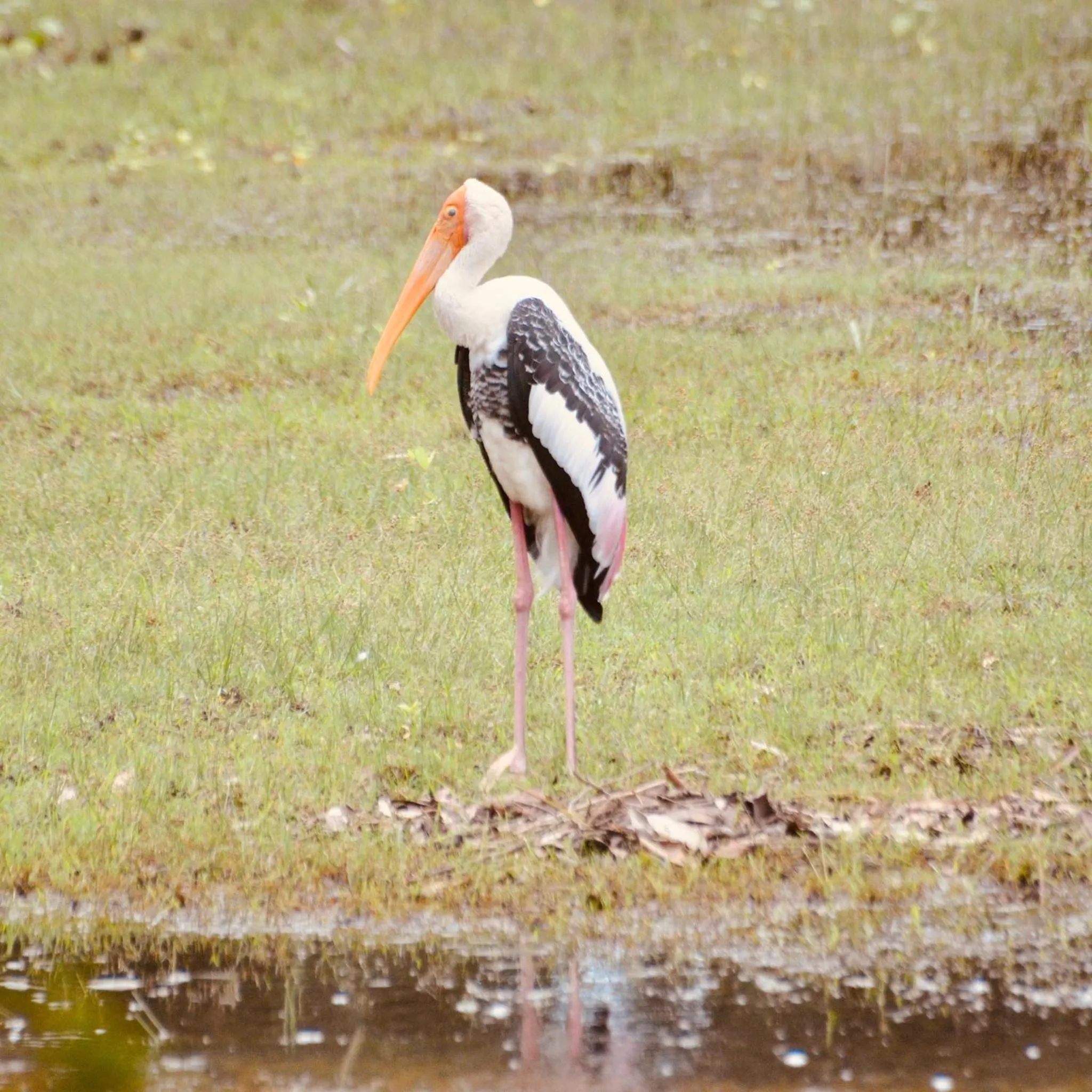 Natural landscape in Wind Blend Kite Resort