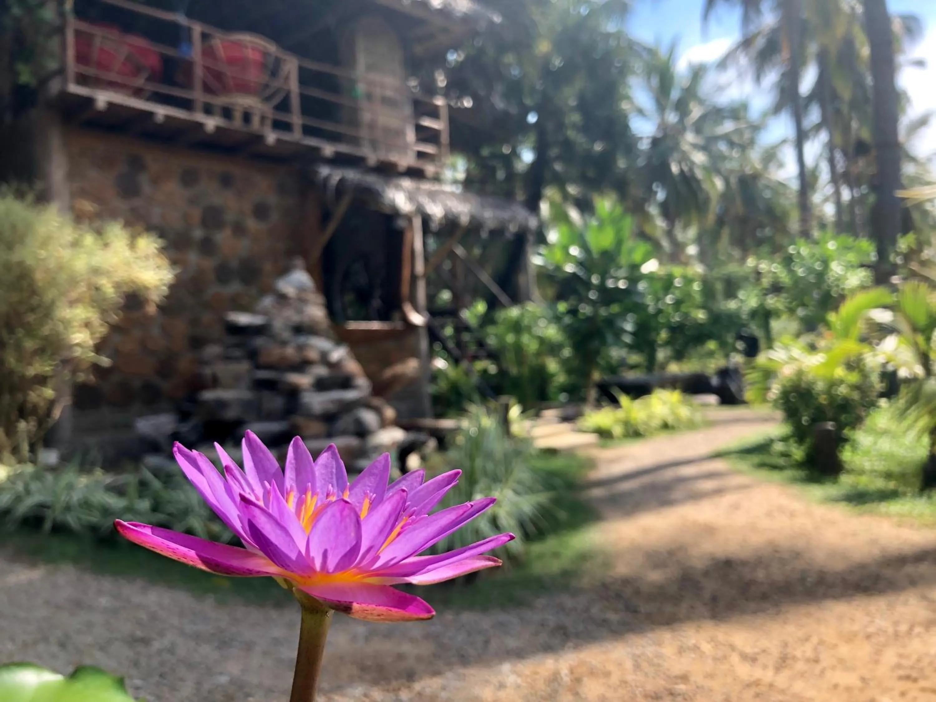 Lobby or reception in Wind Blend Kite Resort