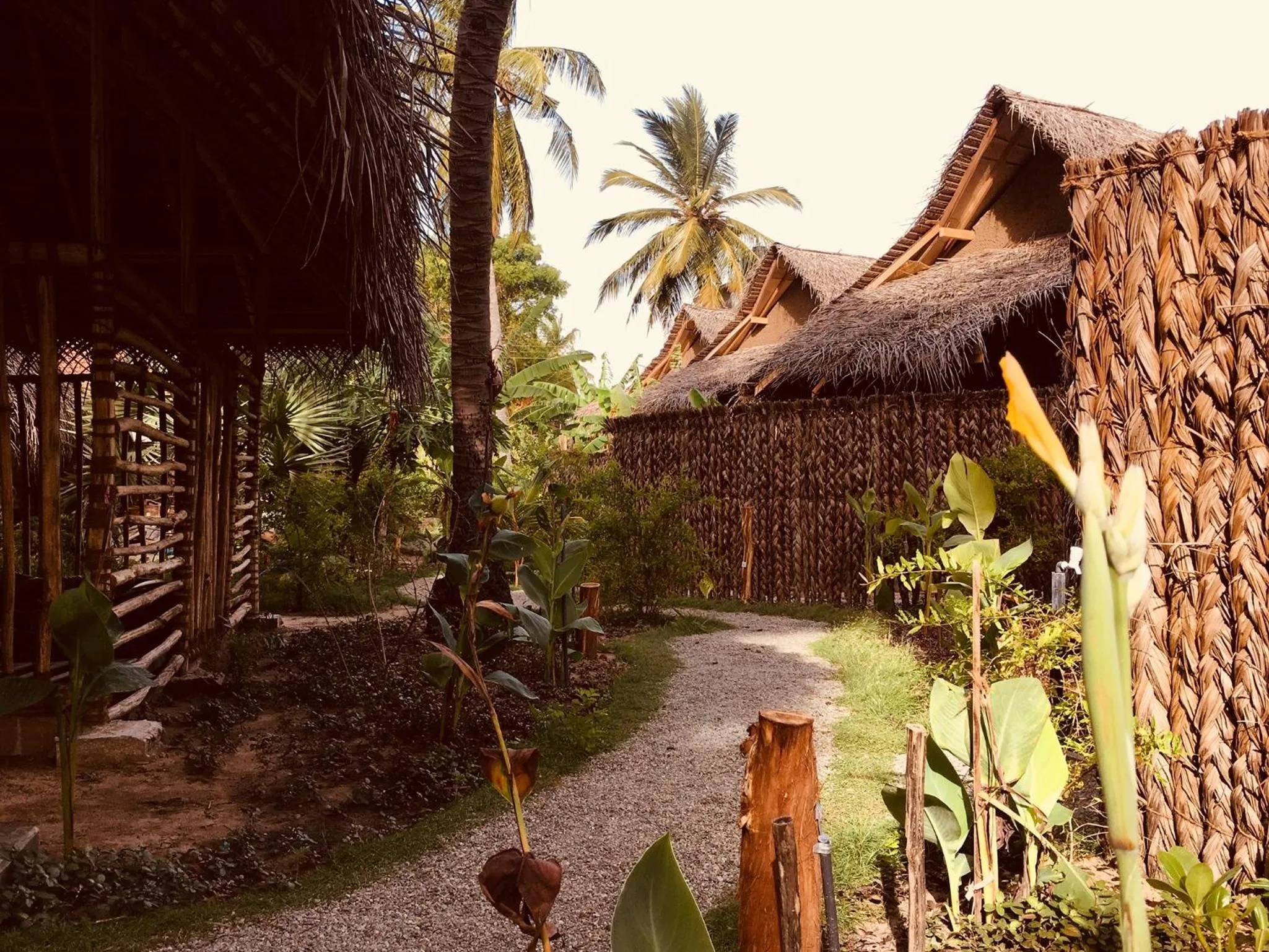 Garden in Wind Blend Kite Resort