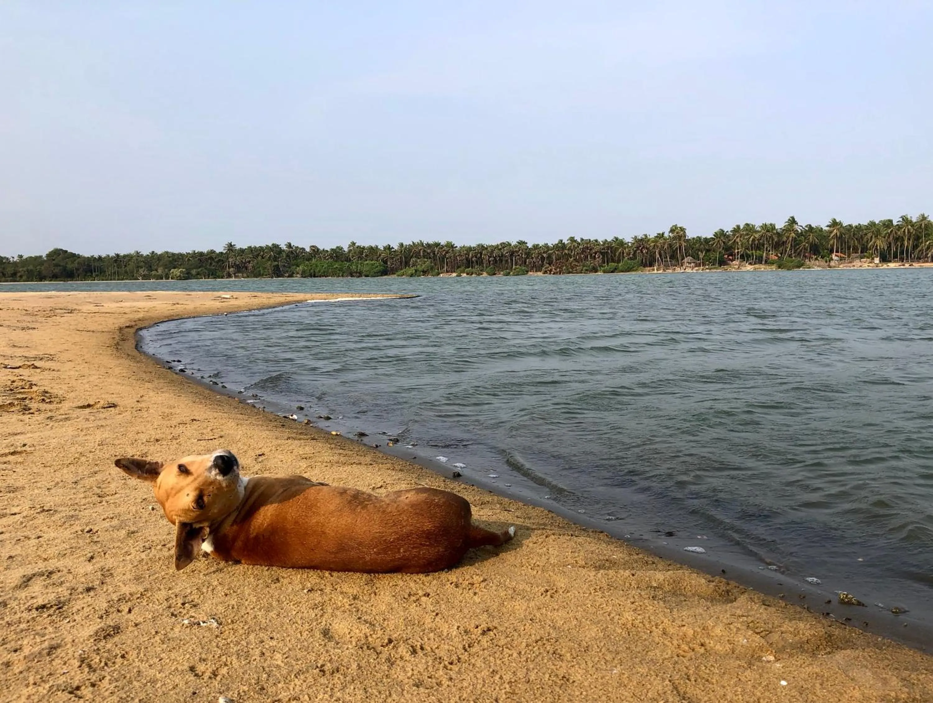 Beach in Wind Blend Kite Resort