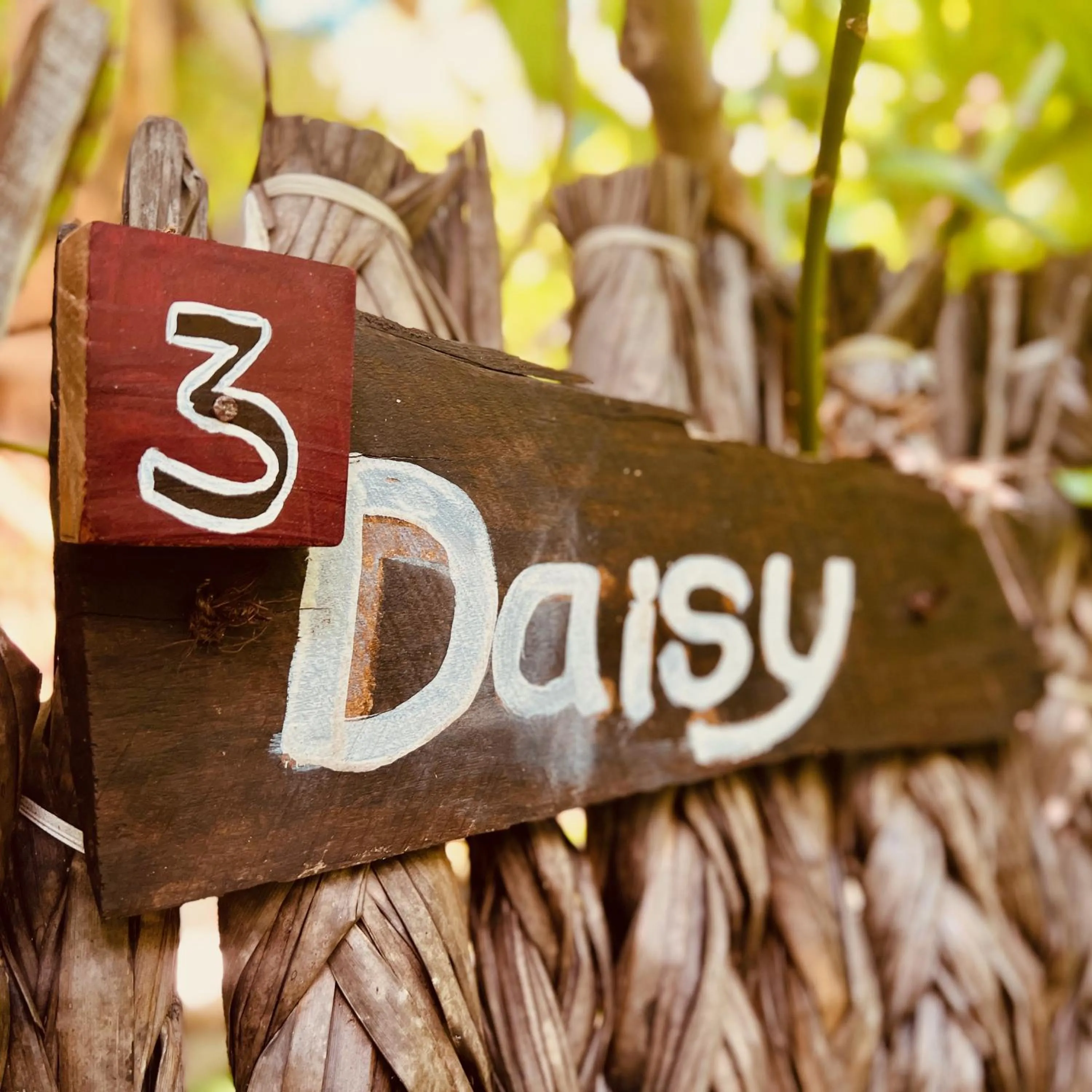 Day in Wind Blend Kite Resort