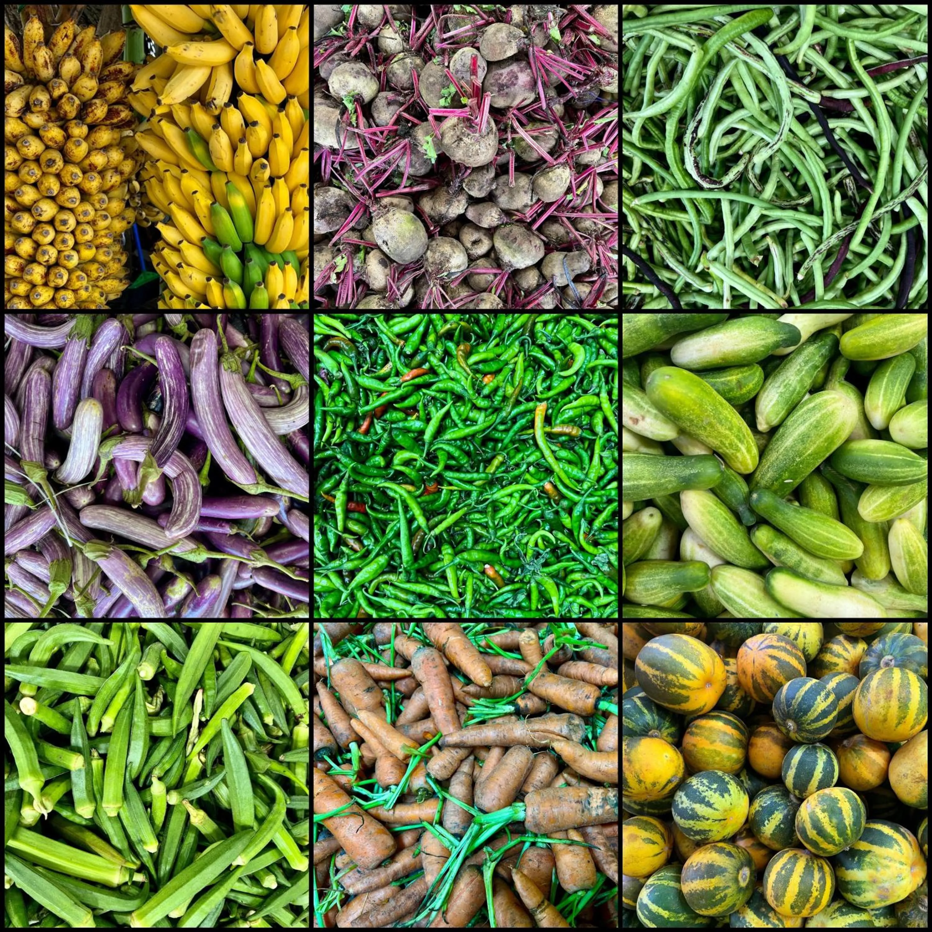 Food and drinks in Wind Blend Kite Resort