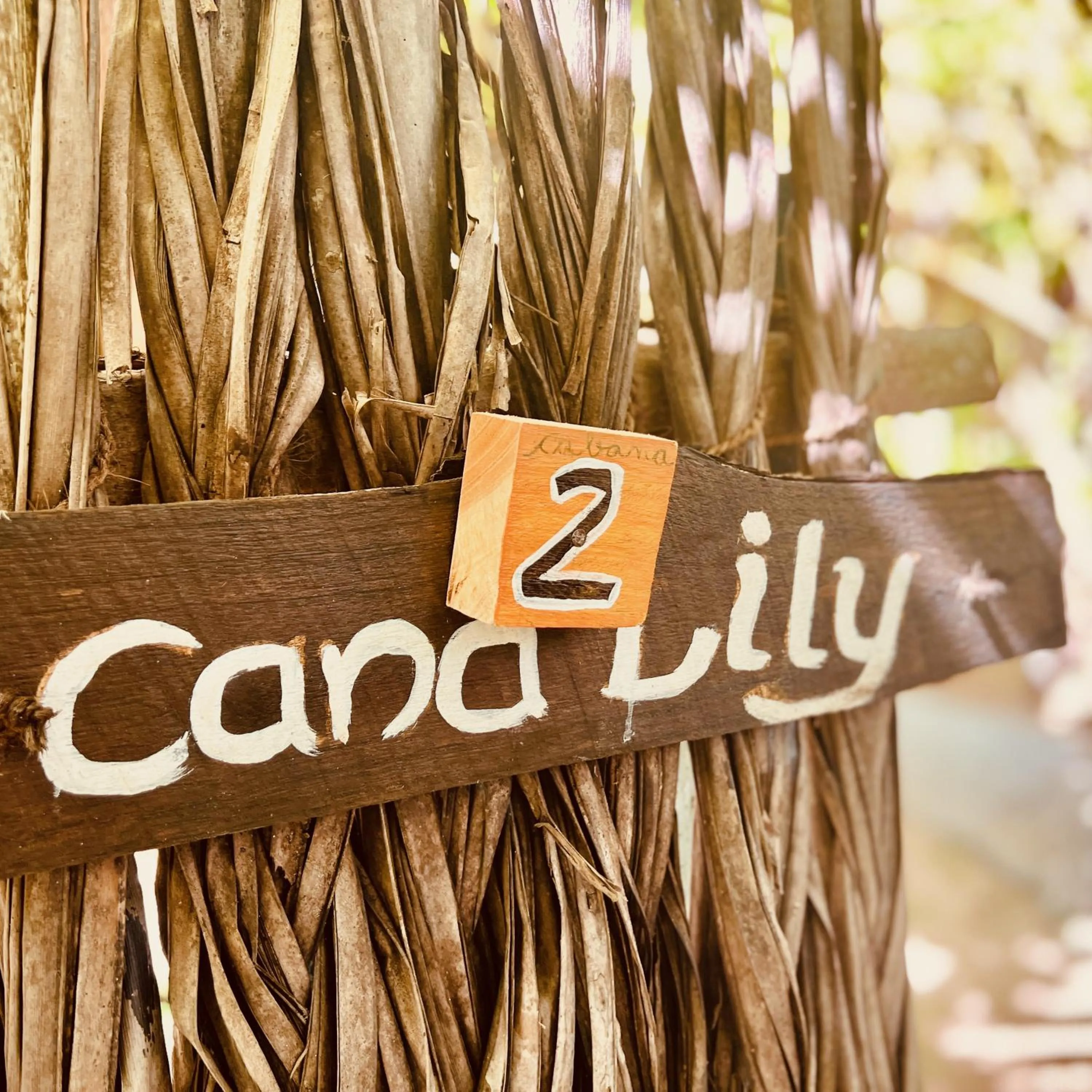 Day in Wind Blend Kite Resort