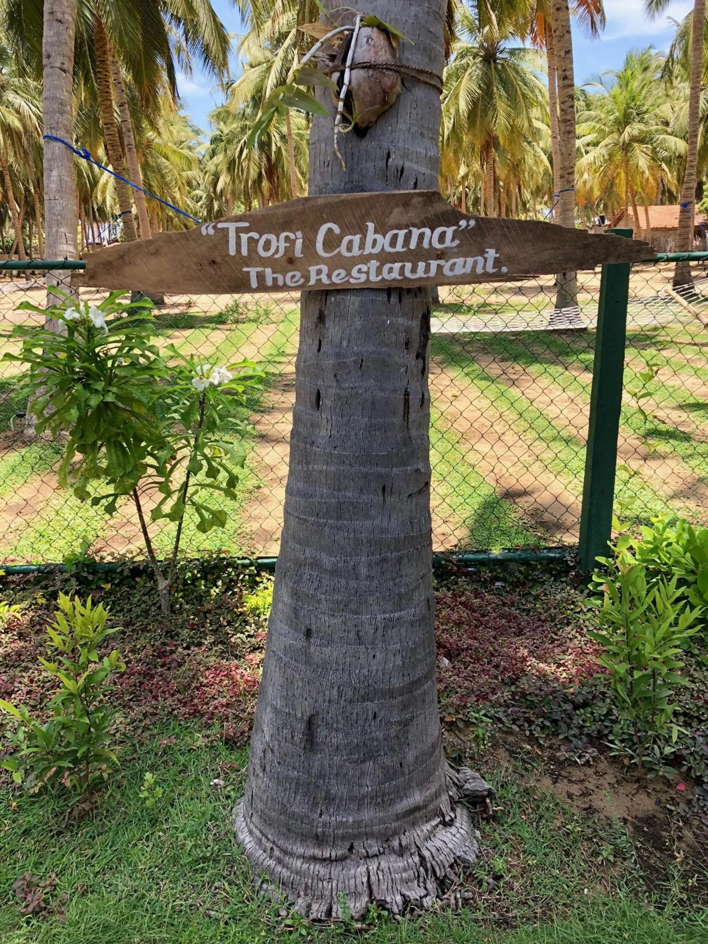 Restaurant/places to eat in Wind Blend Kite Resort