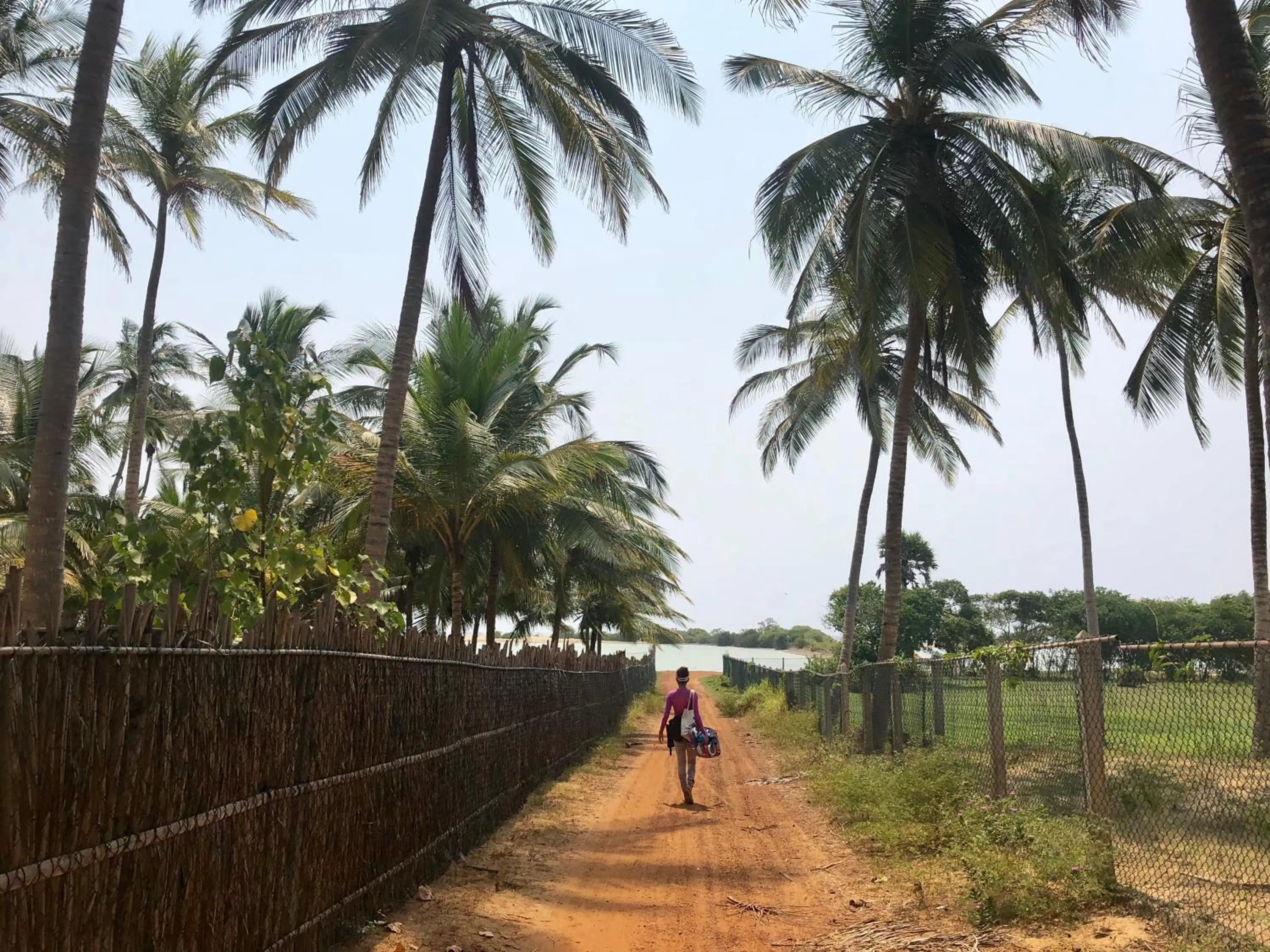 Beach in Wind Blend Kite Resort