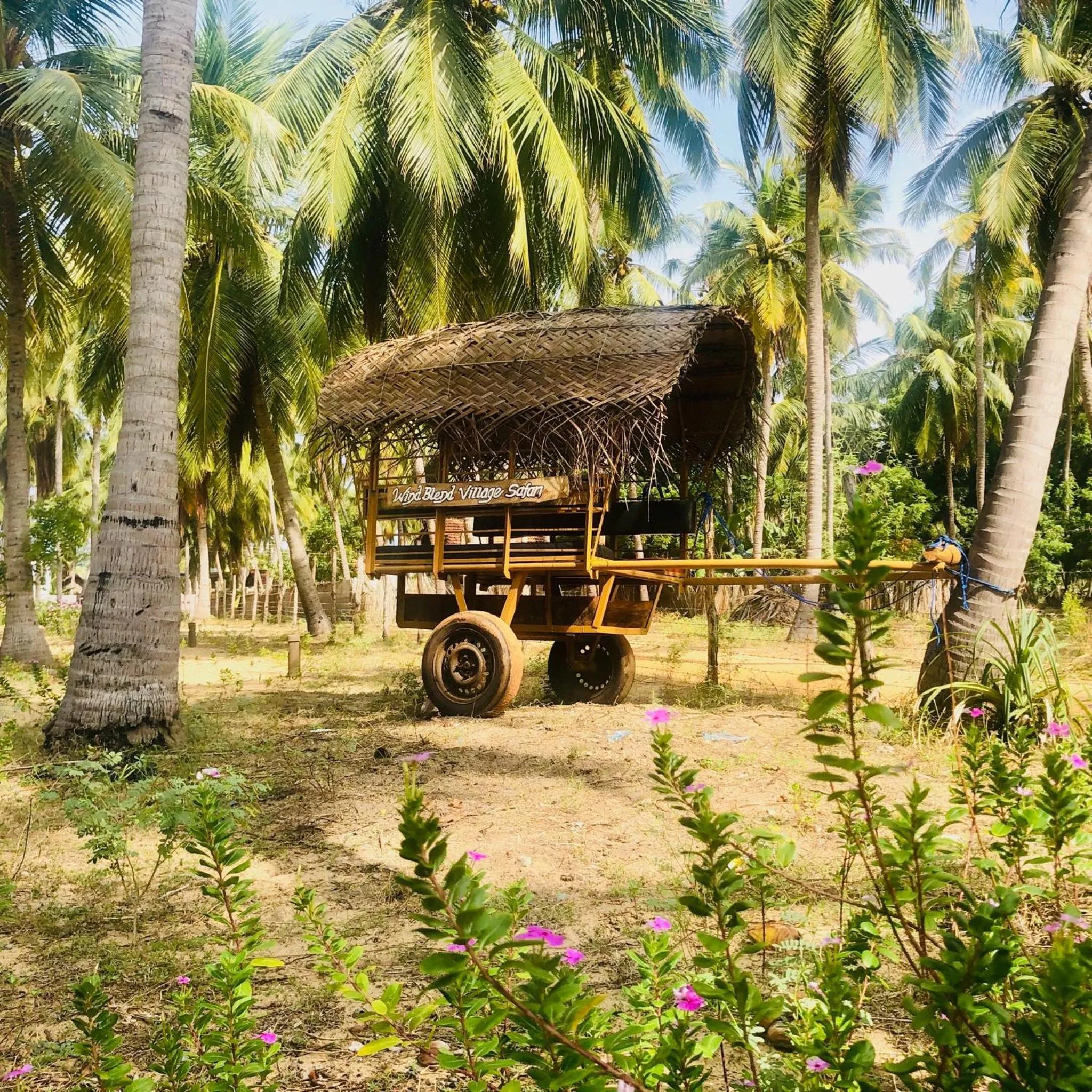 Garden in Wind Blend Kite Resort