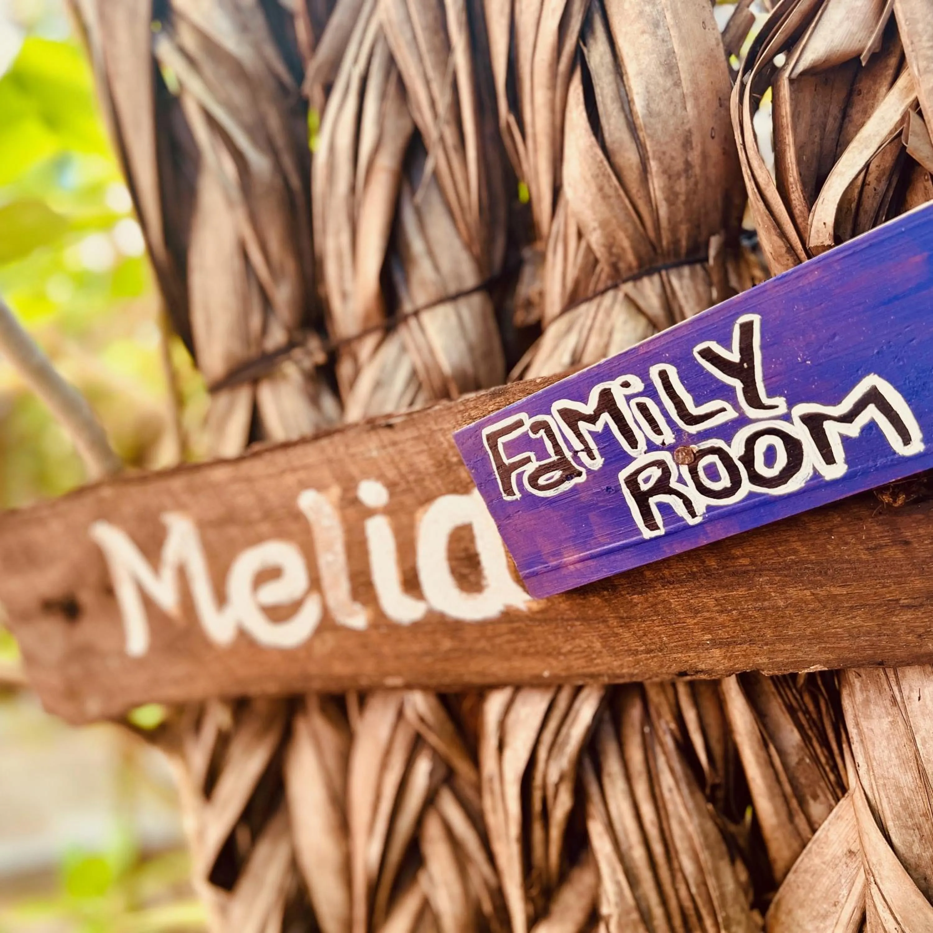 Day in Wind Blend Kite Resort