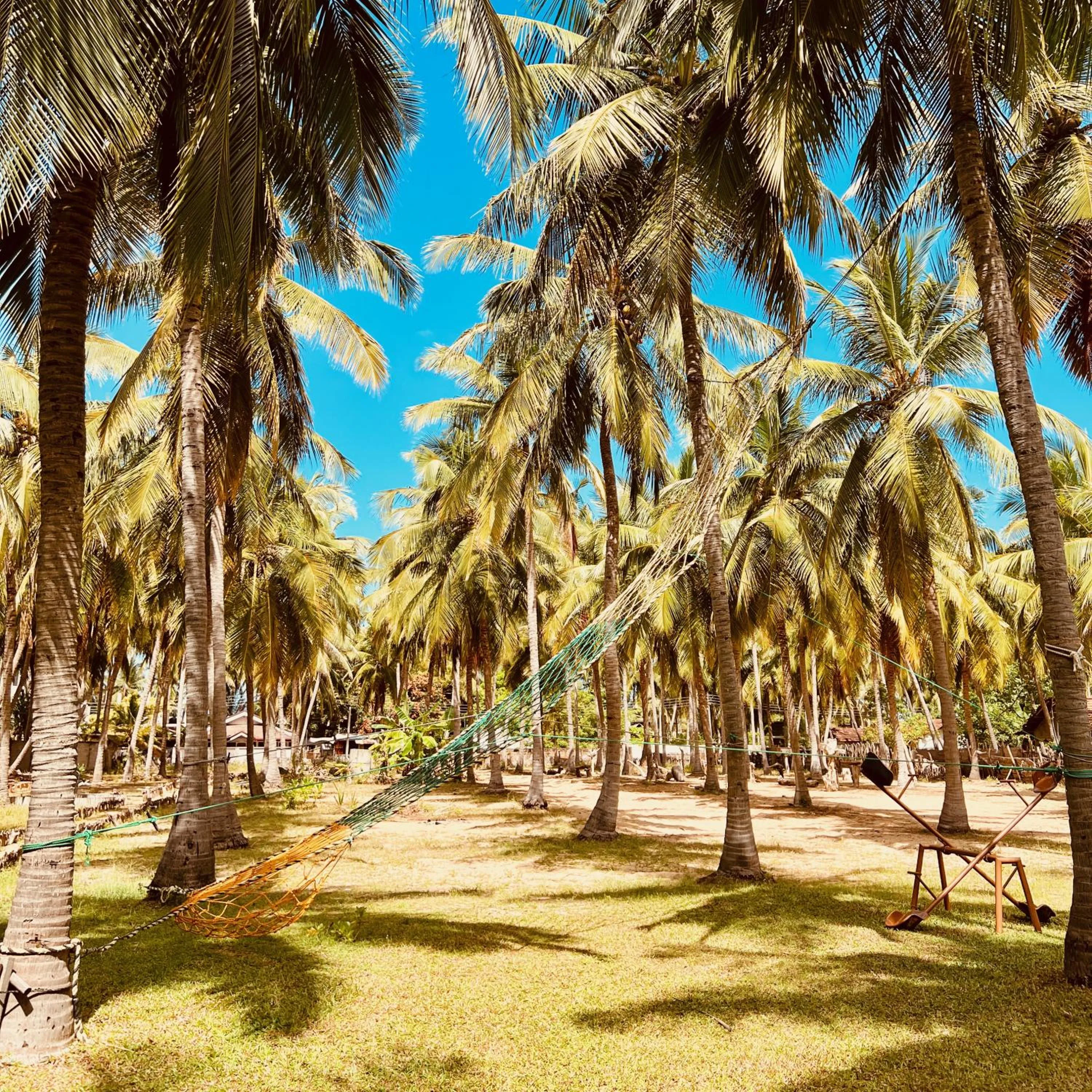 Children play ground in Wind Blend Kite Resort