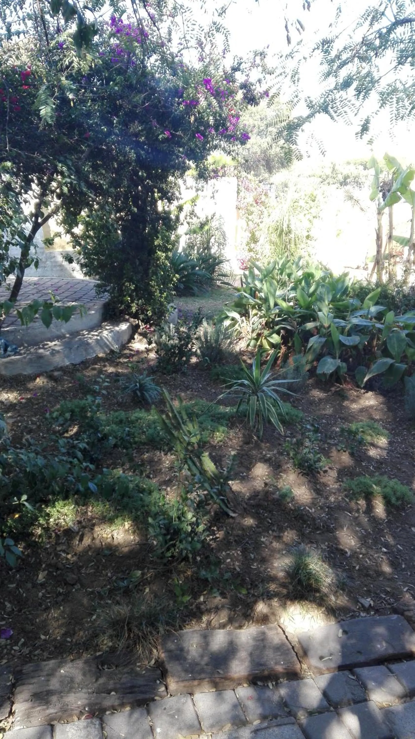 Garden in Villa Via Hotel Midrand
