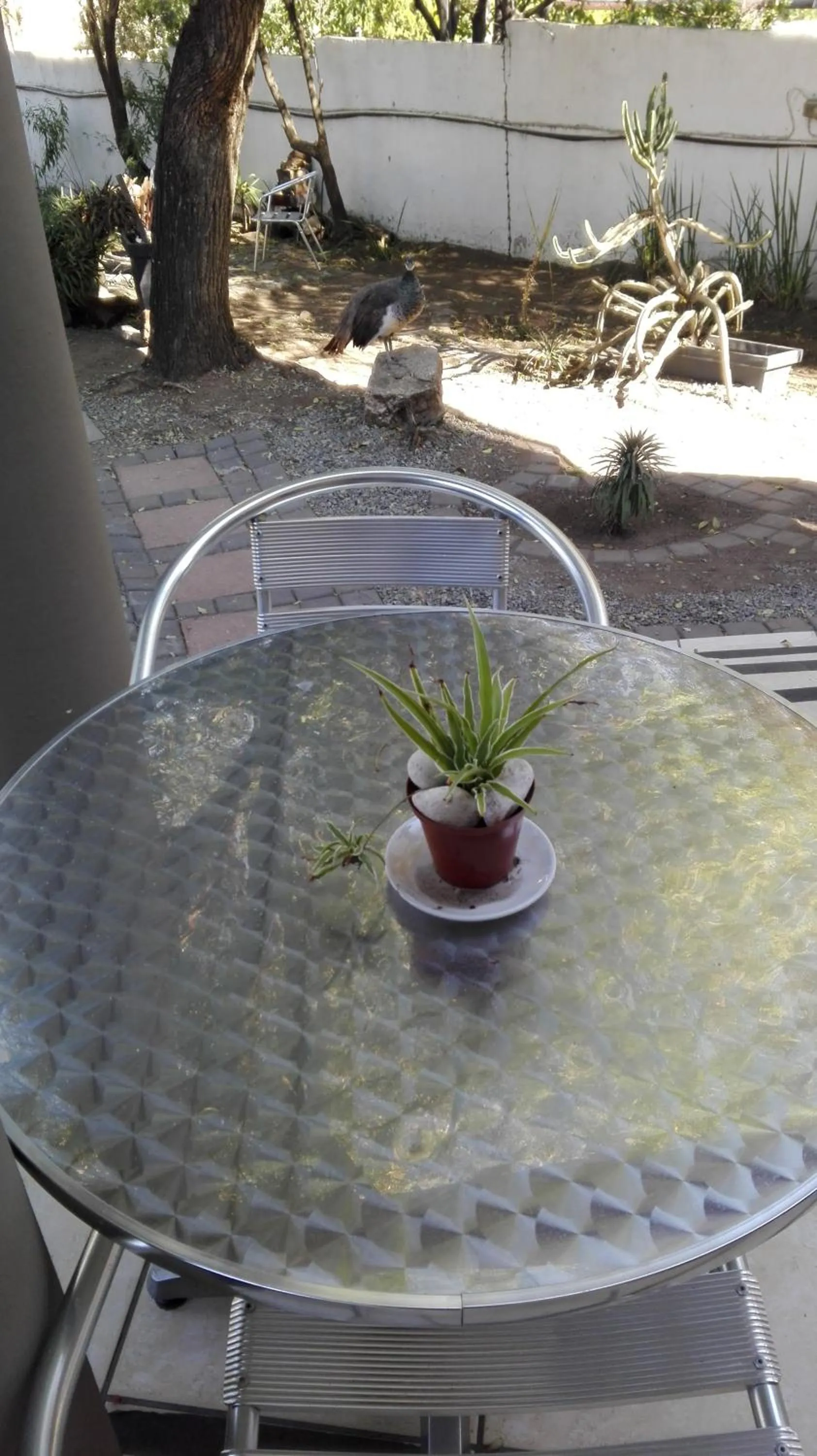 Patio in Villa Via Hotel Midrand