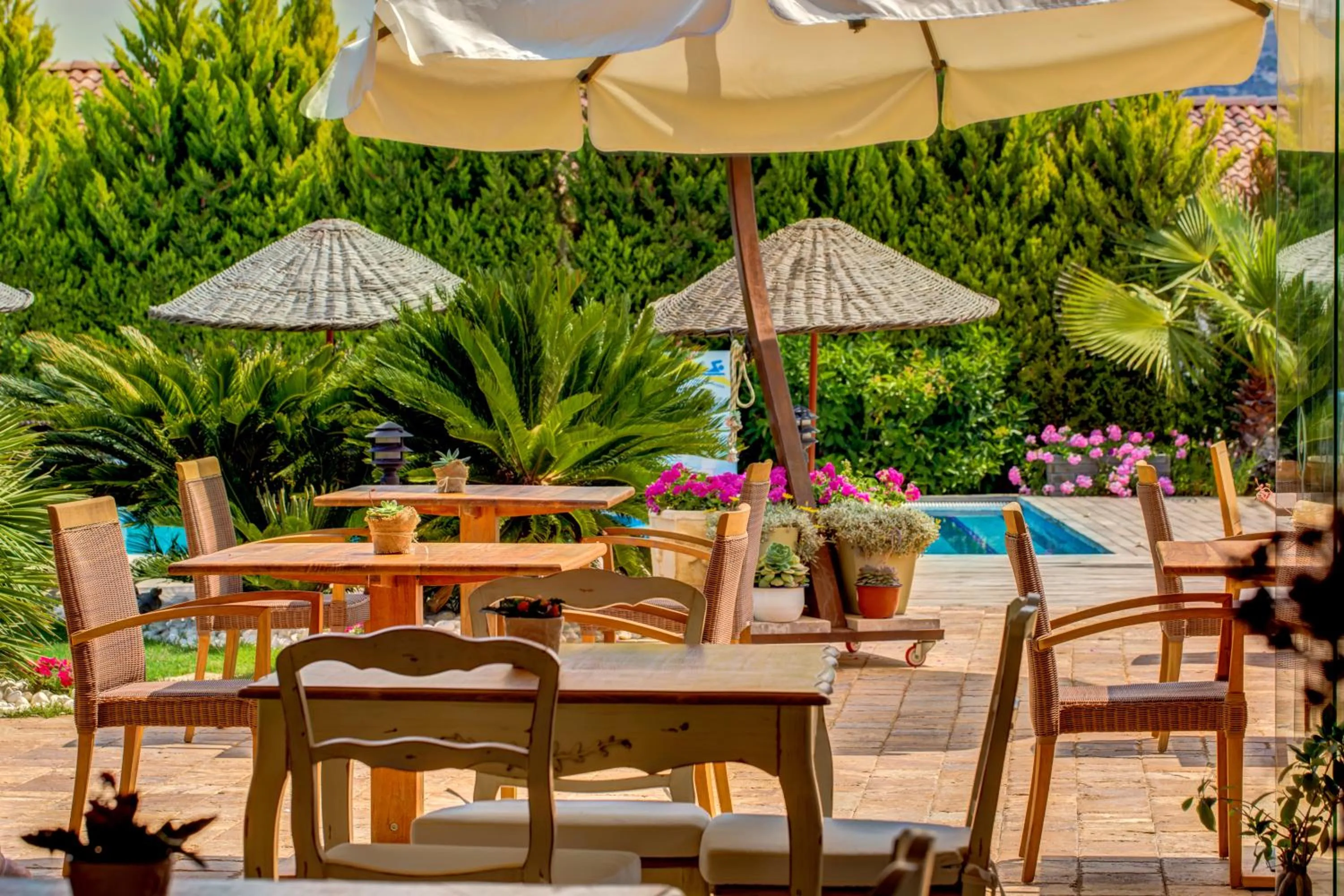 Restaurant/places to eat in Alacati Kapari Hotel - Special Category