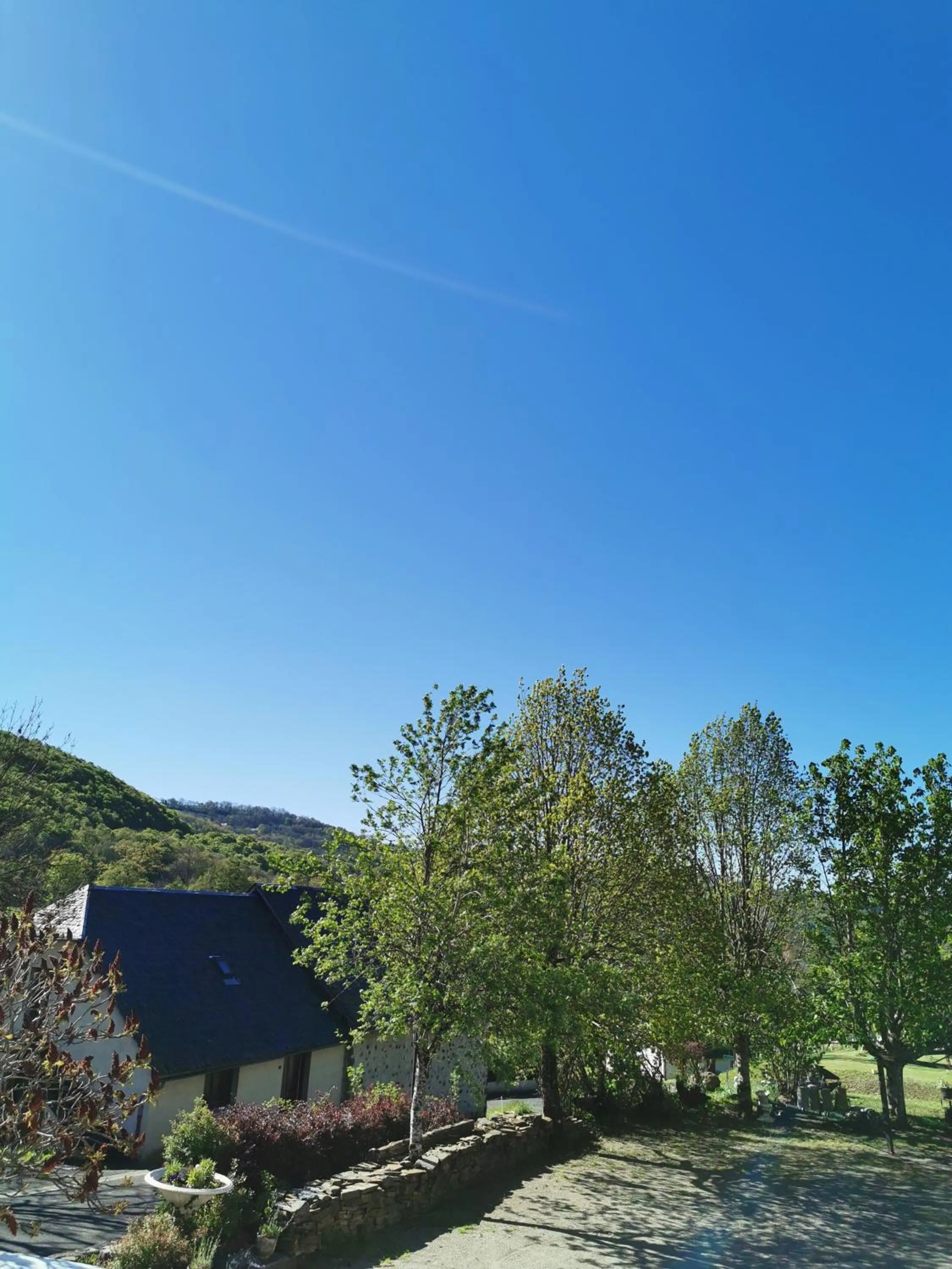 Garden in Hotel bar b'rock