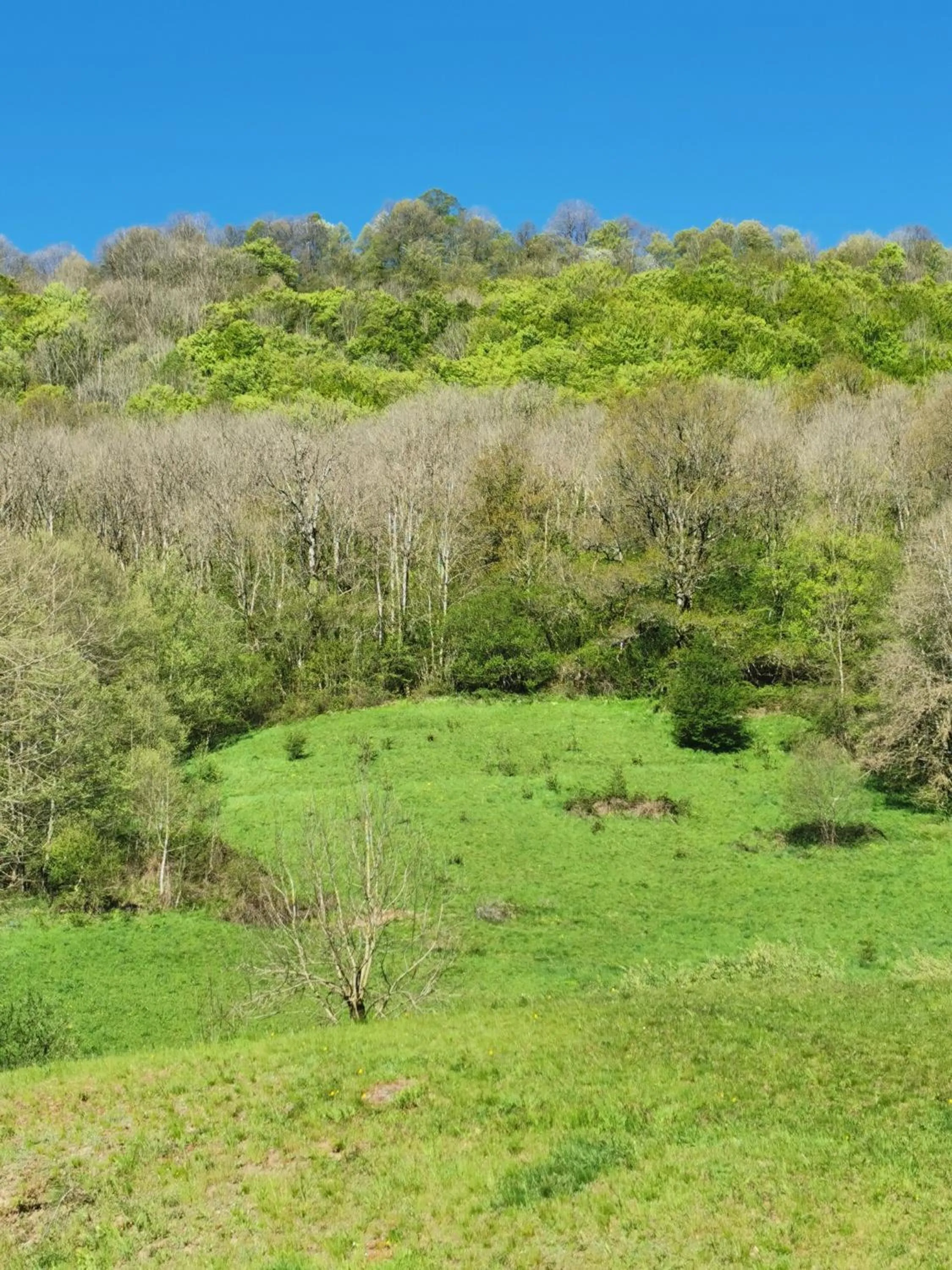 Mountain view in Hotel bar b'rock