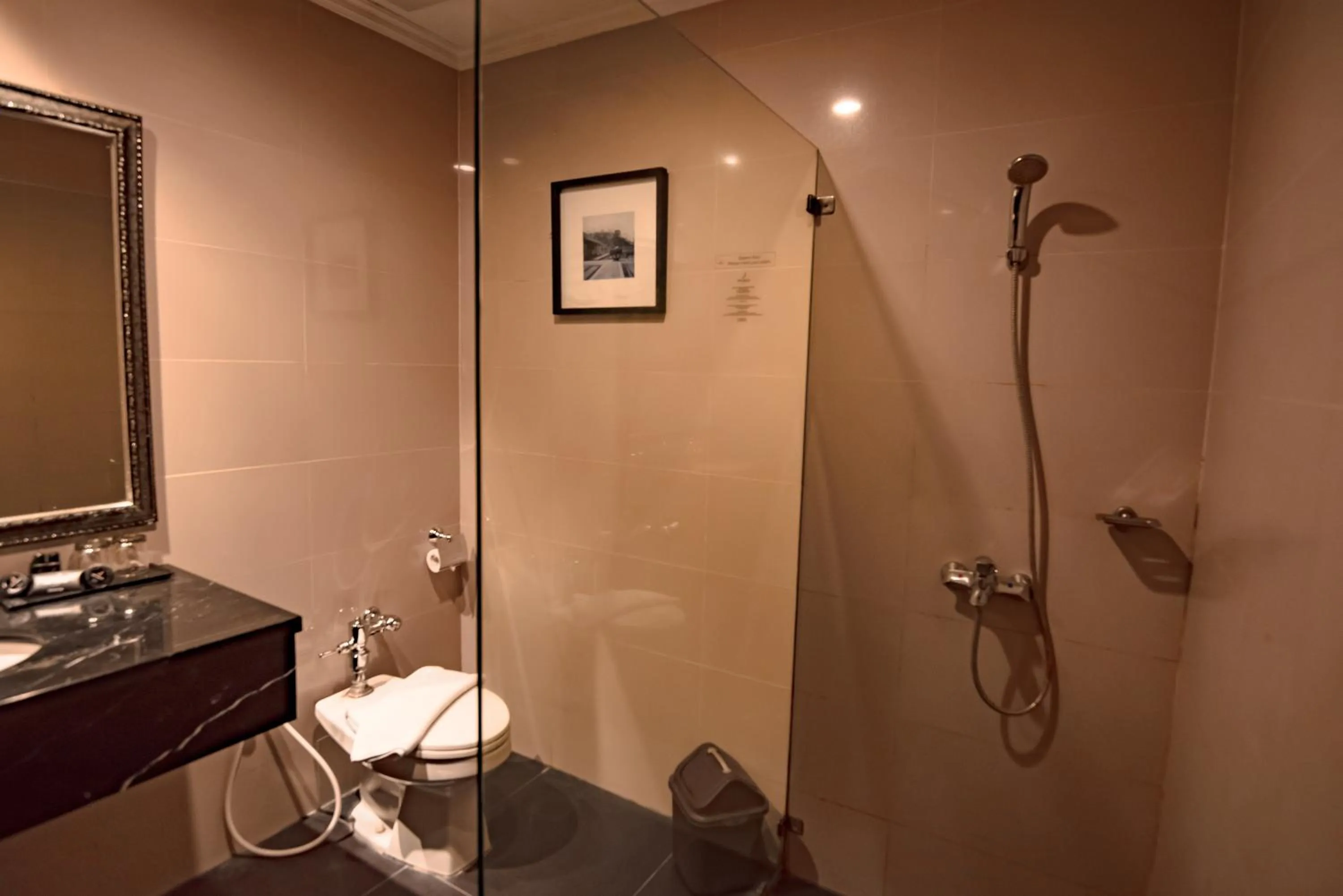 Superior Double Room in The Mirah Hotel Bogor