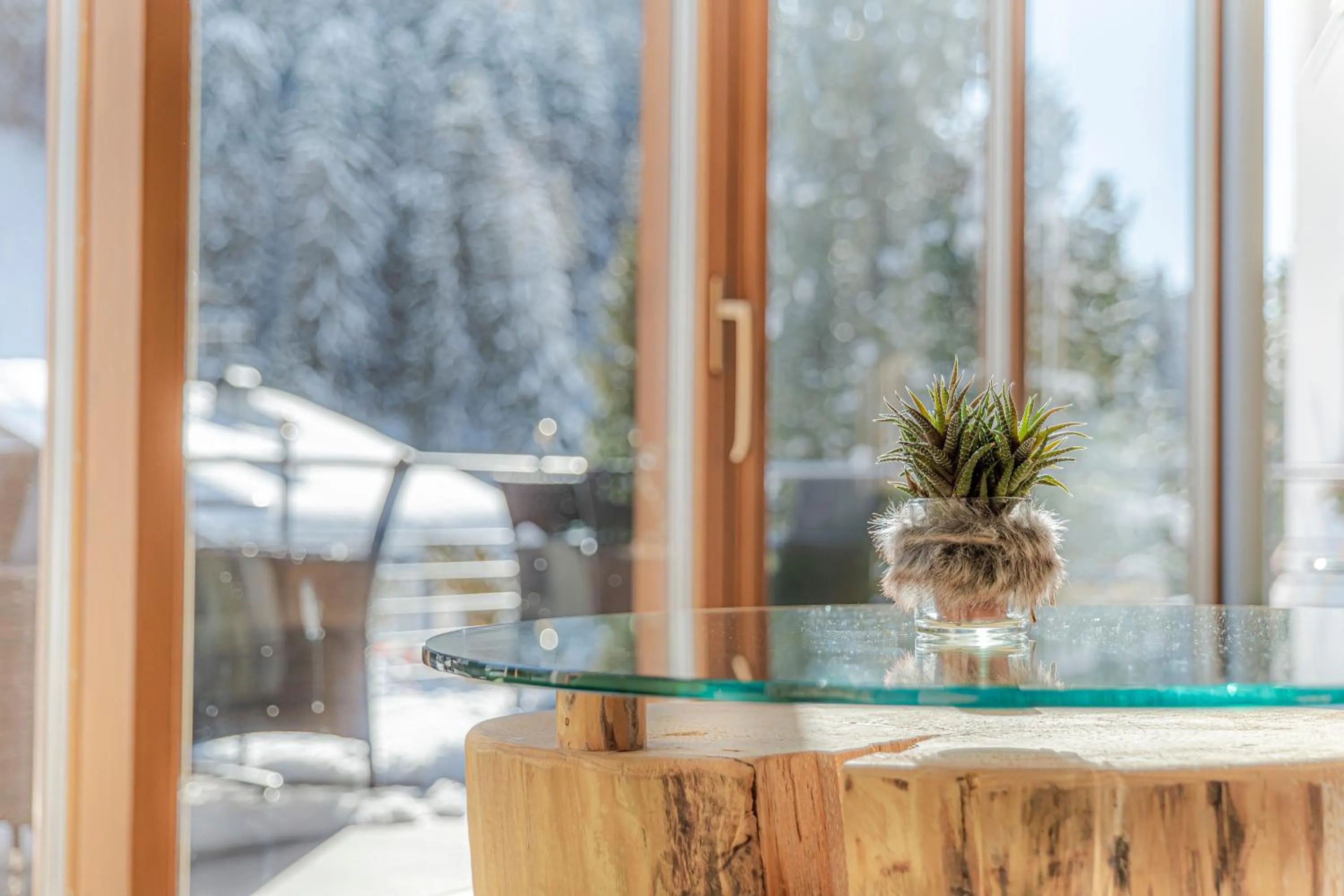 Lounge or bar in Hotel Chalet Dlaces