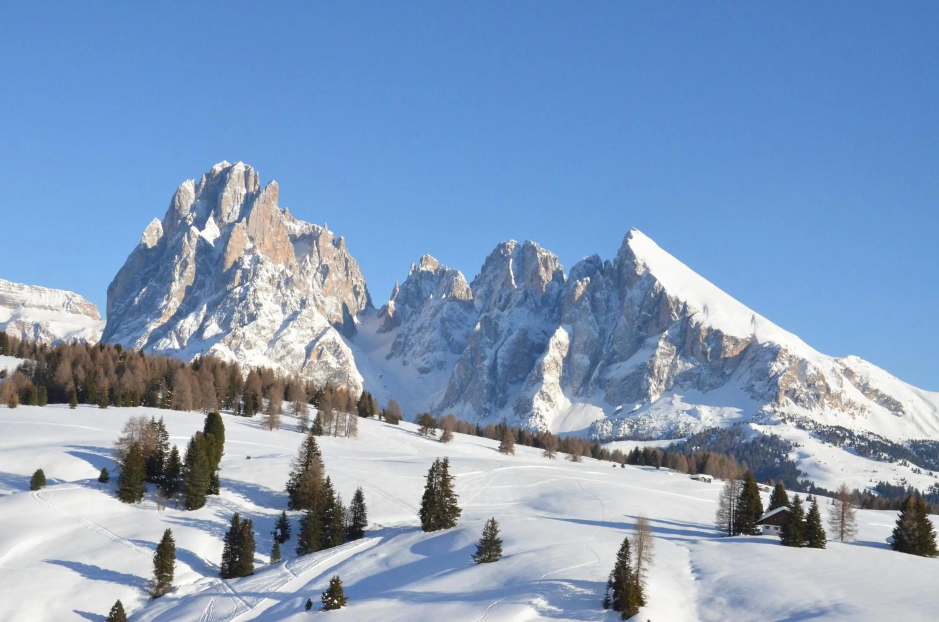 Natural landscape in Hotel Chalet Dlaces