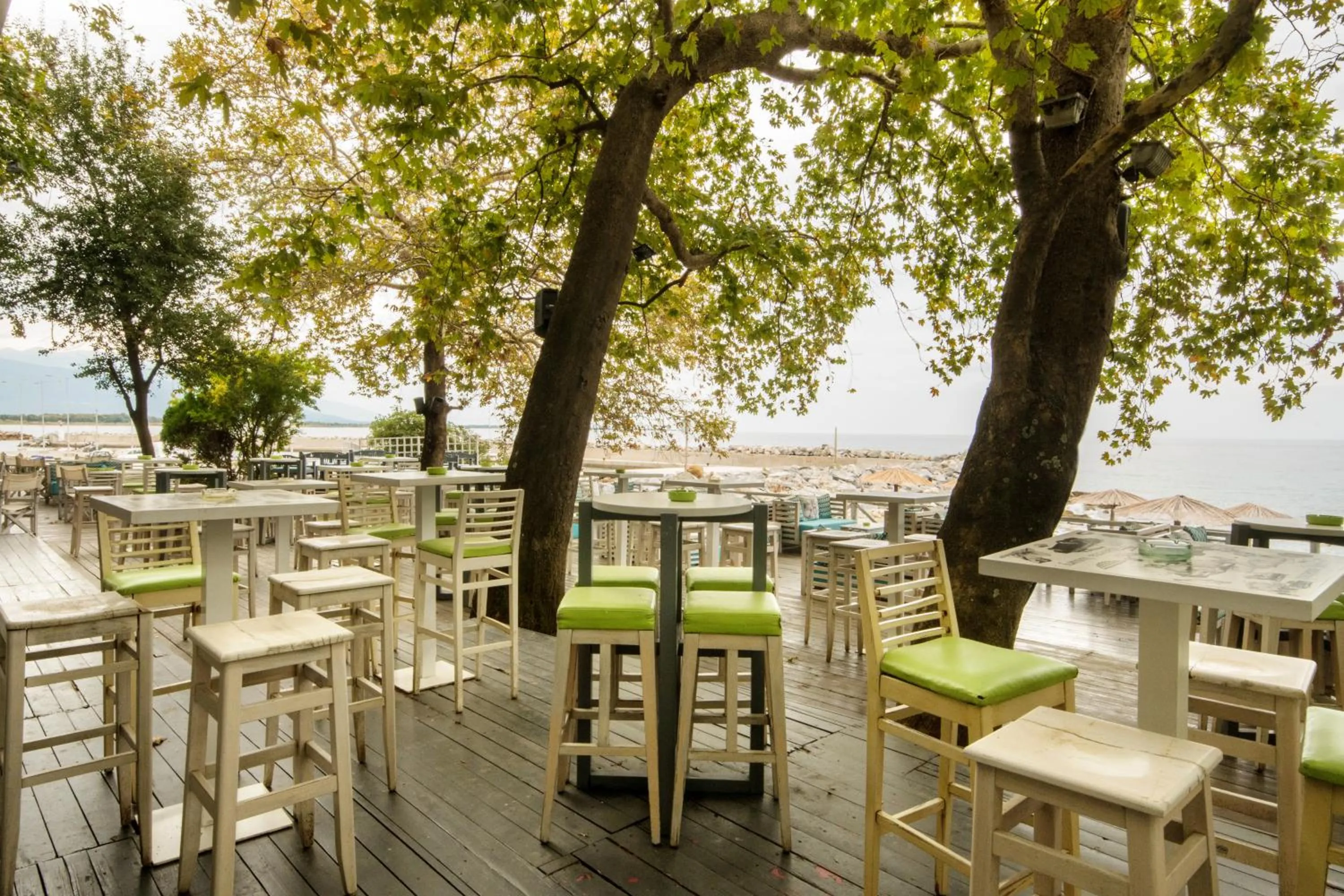 Lounge or bar in Hotel Vlassis