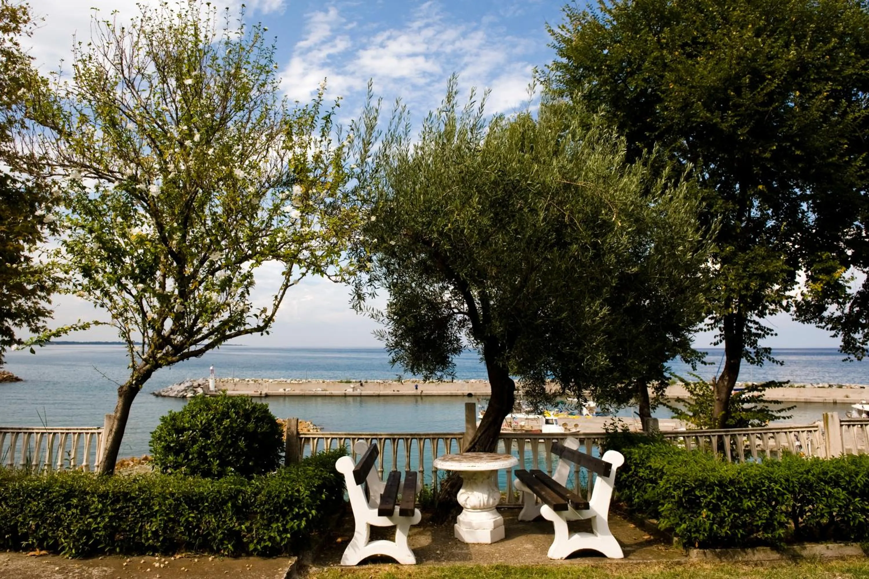 Garden in Hotel Vlassis