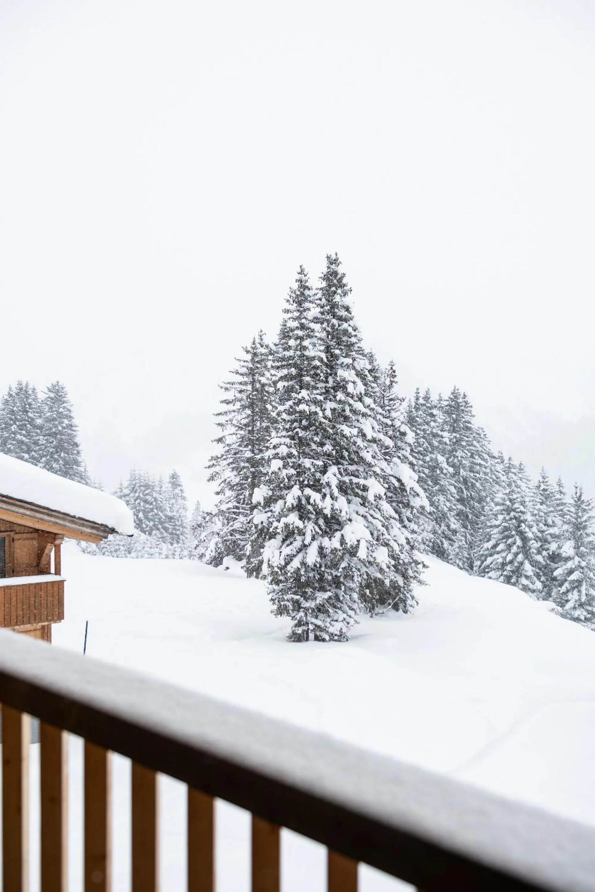 View (from property/room) in Hotel & Chalet Montana