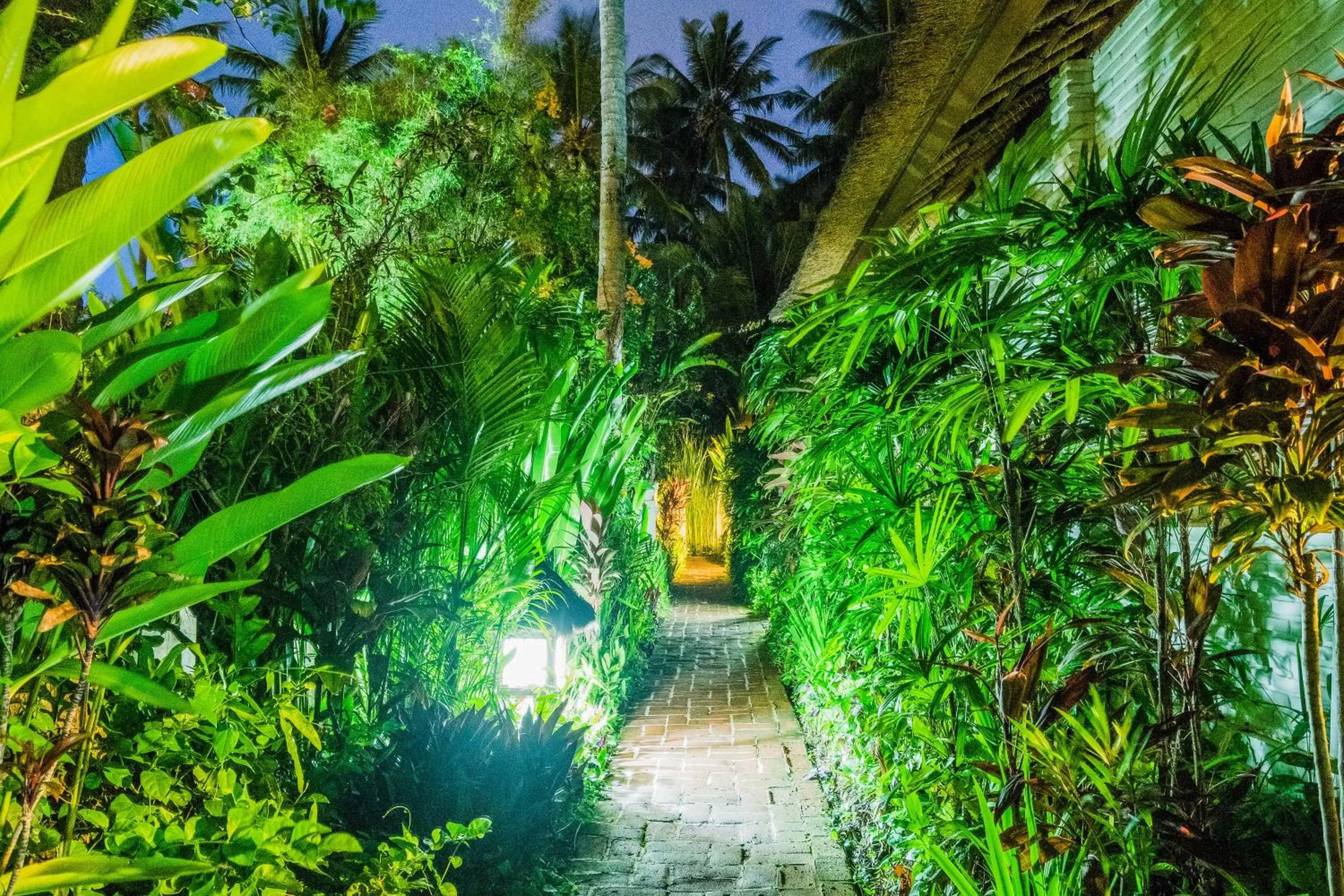 Garden in The Water Garden Hotel