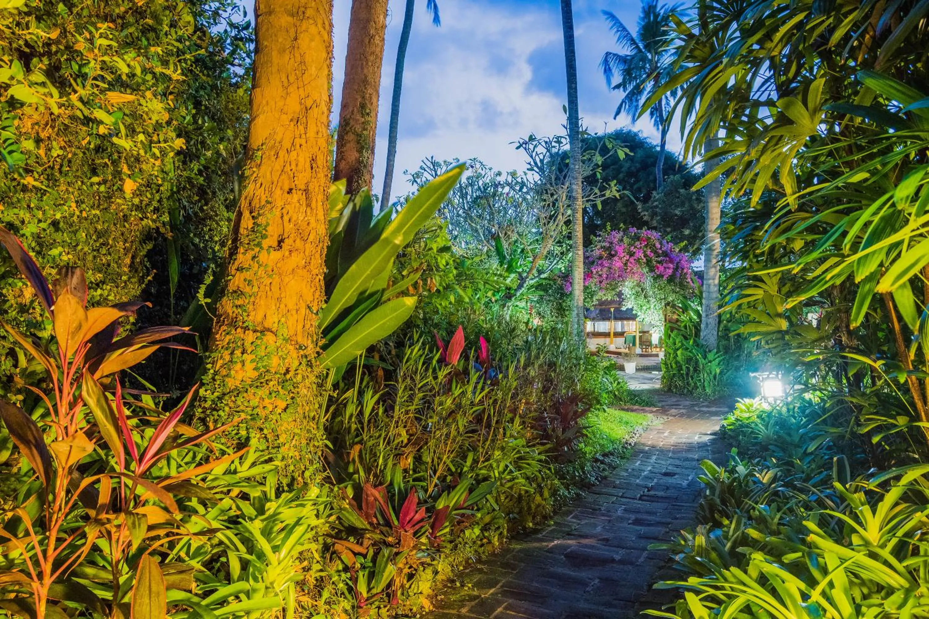 Garden in The Water Garden Hotel