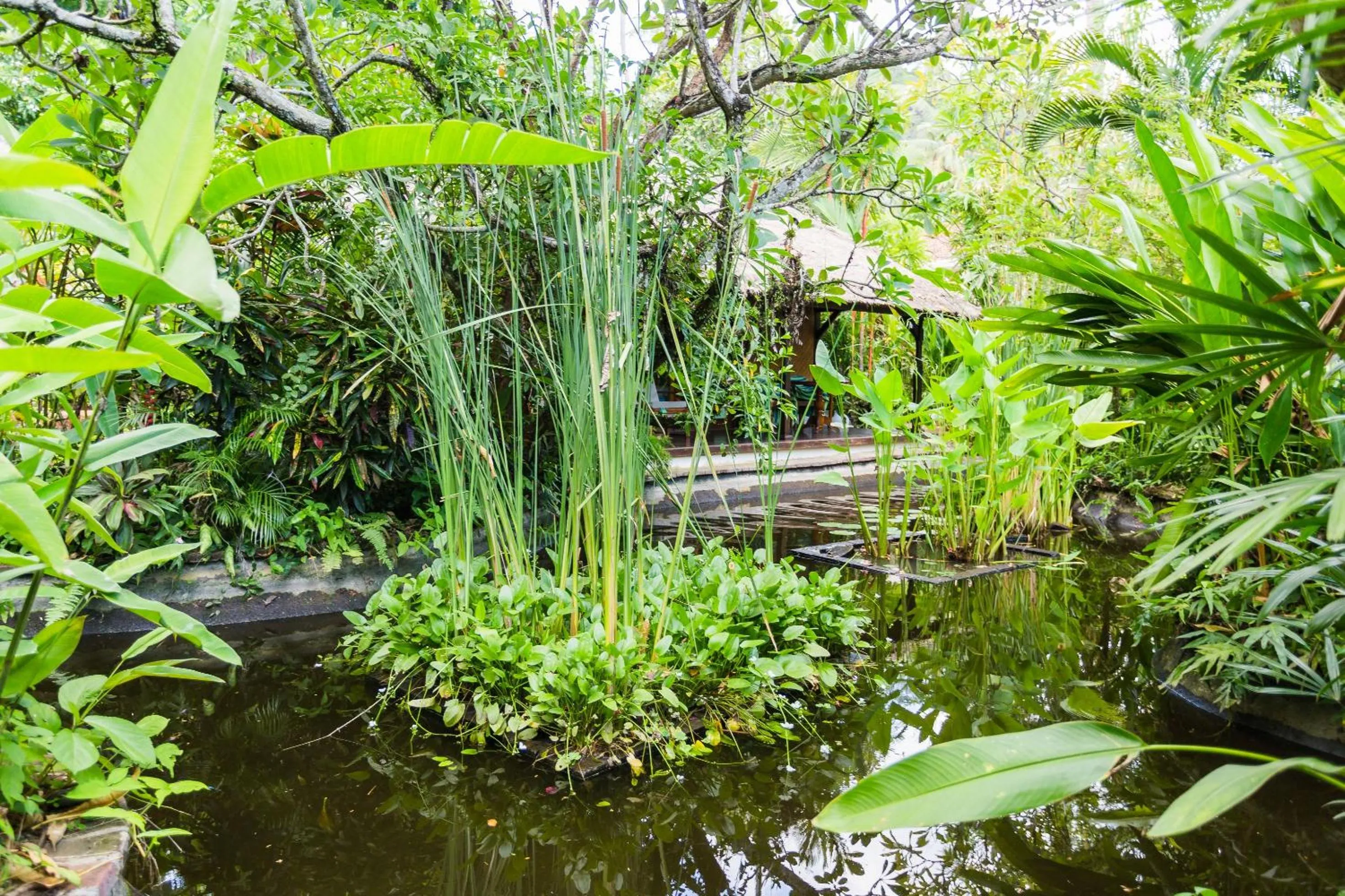 Garden in The Water Garden Hotel
