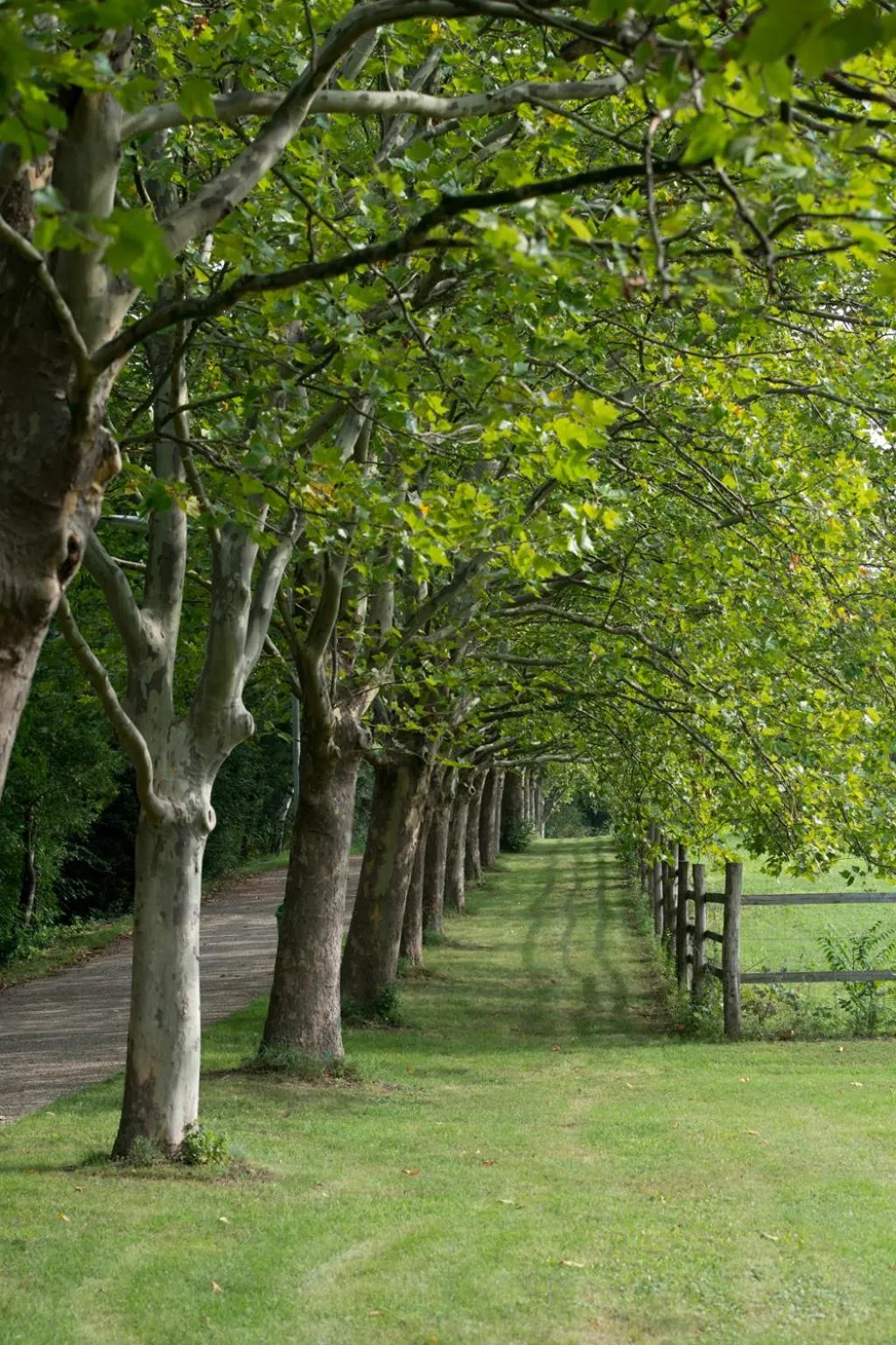 Day in Hotel am Friedrichshof