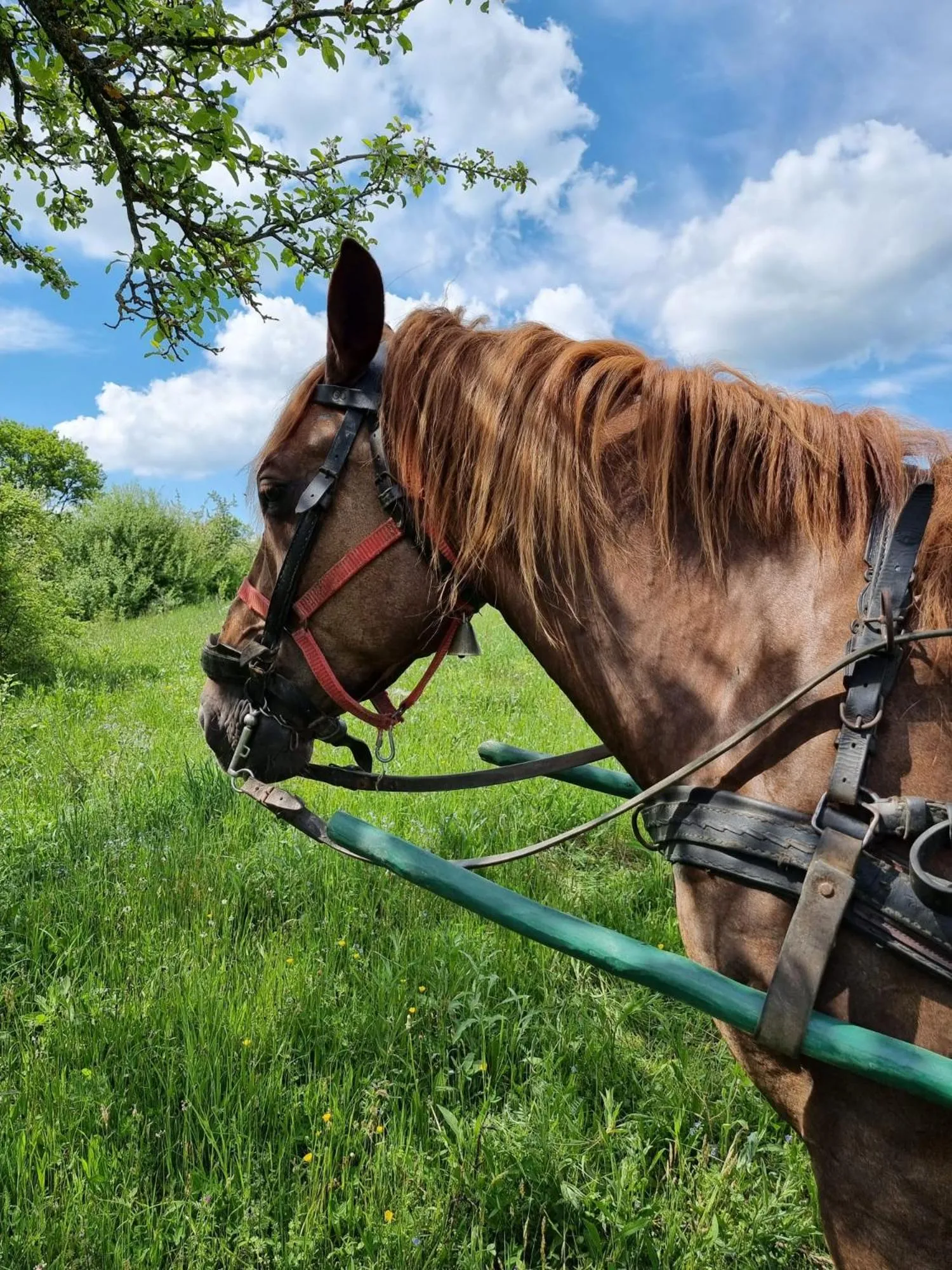 Off site in Wolkendorf Bio Hotel & Spa