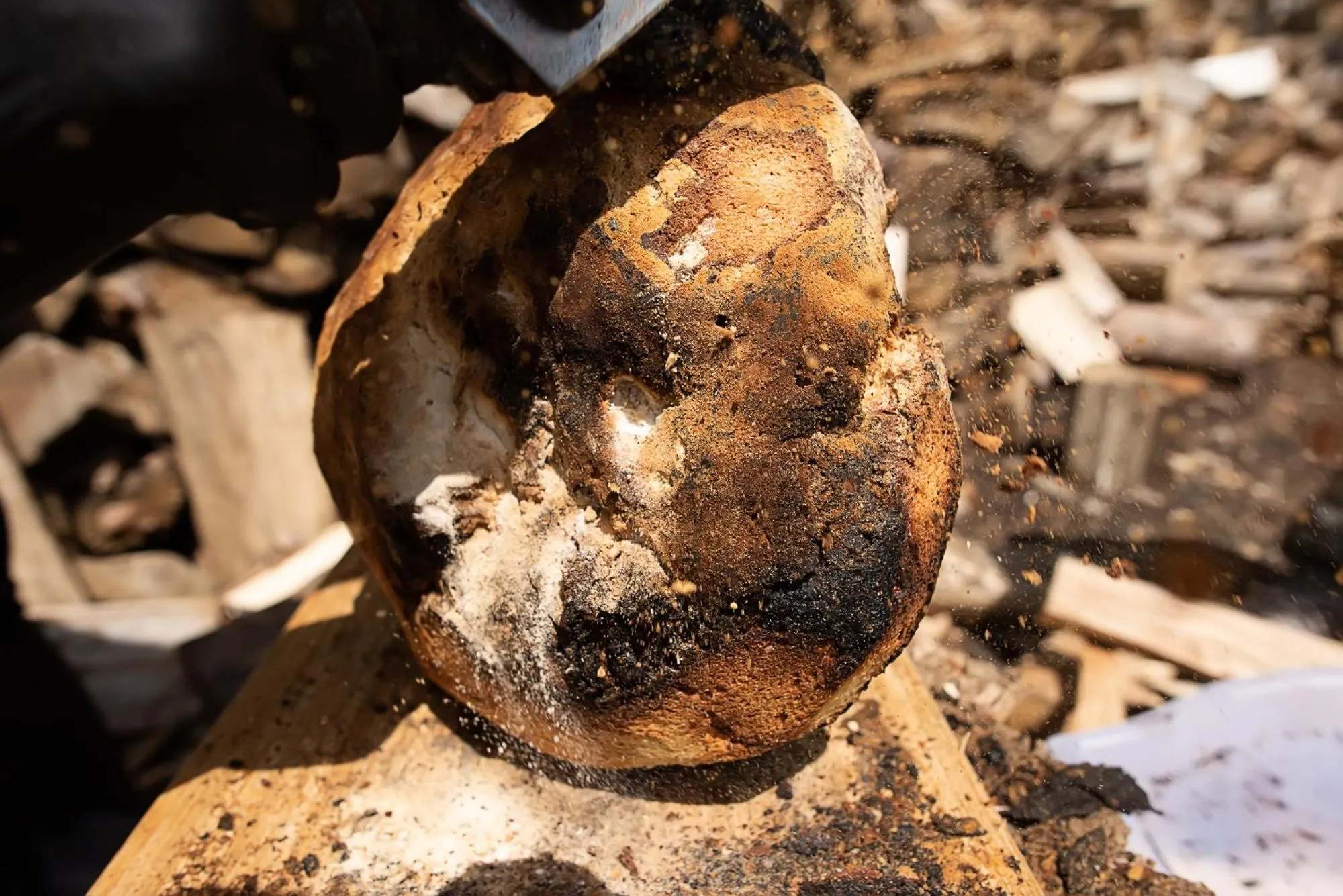 Restaurant/places to eat in Wolkendorf Bio Hotel & Spa