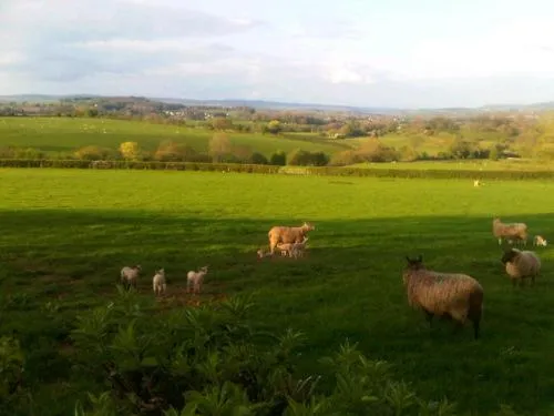 The Draen Bed and Breakfast