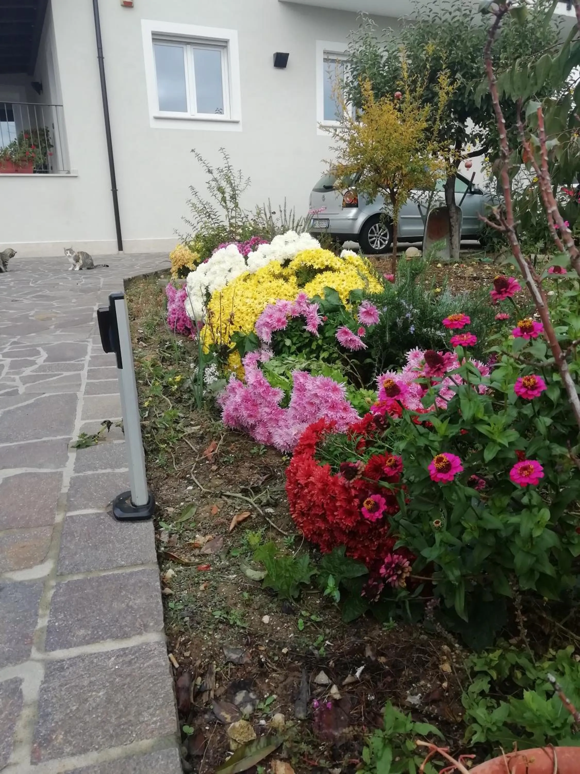 Garden in La Nuova Dimora B&B