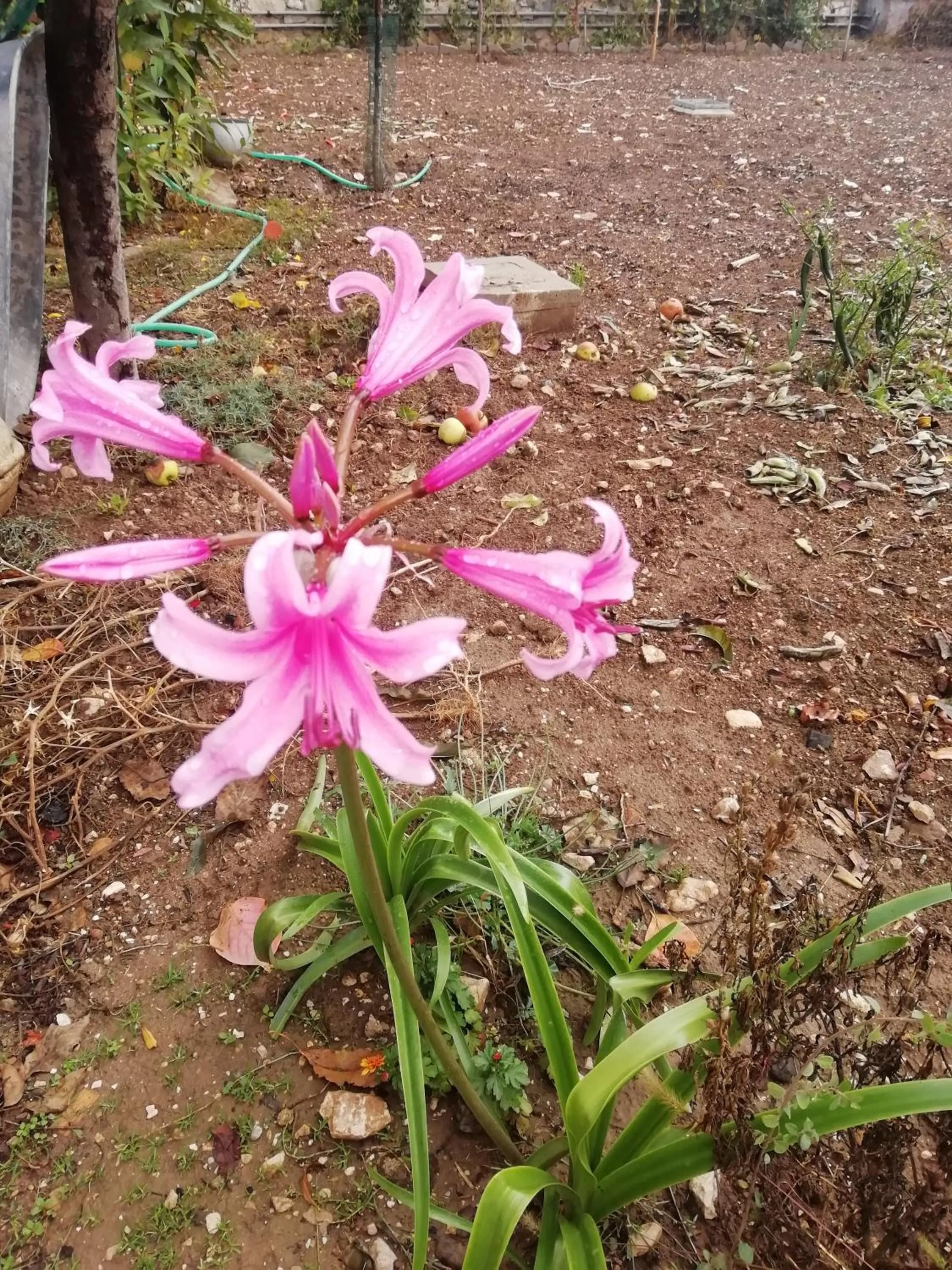 Spring in La Nuova Dimora B&B