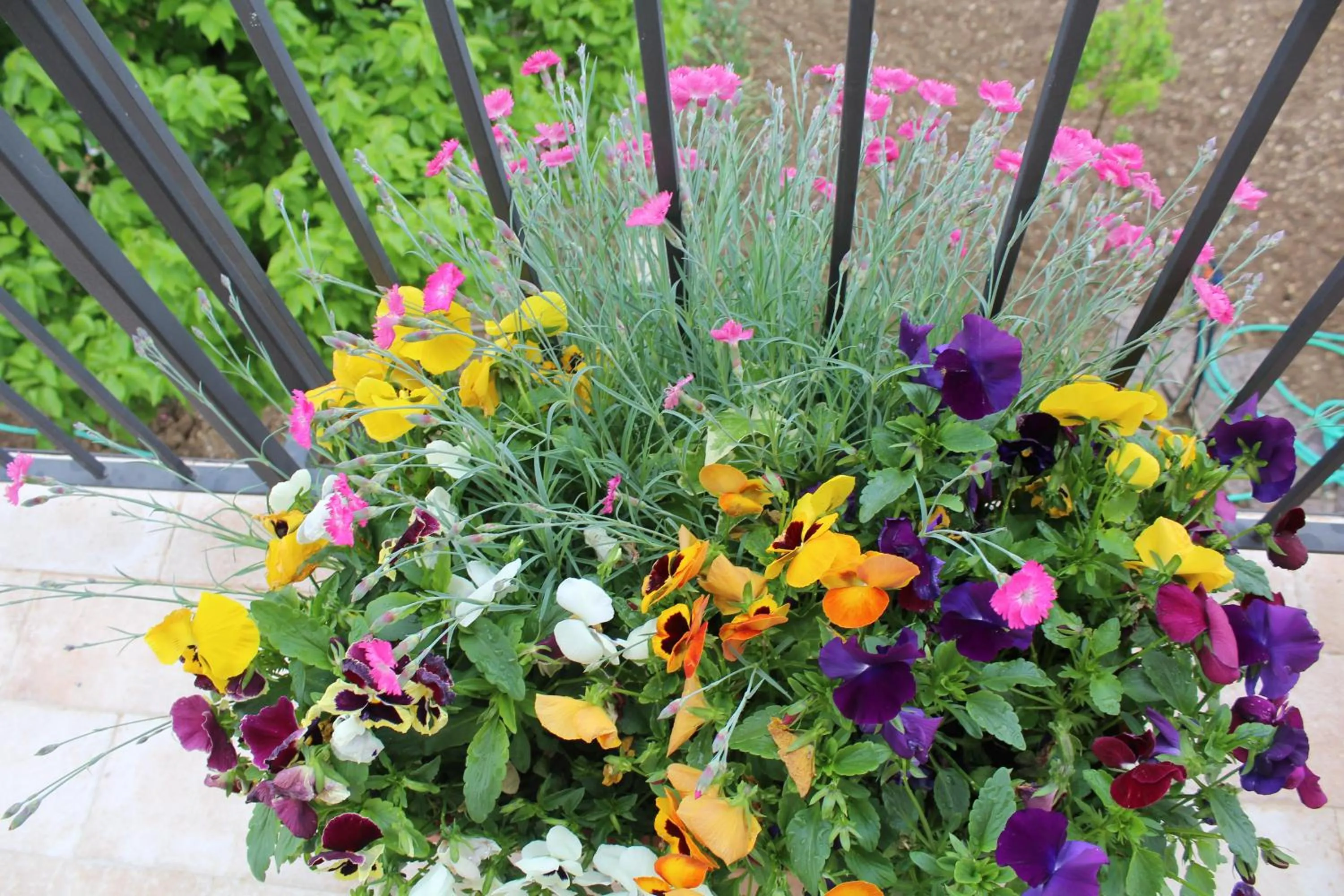 Property building in La Nuova Dimora B&B