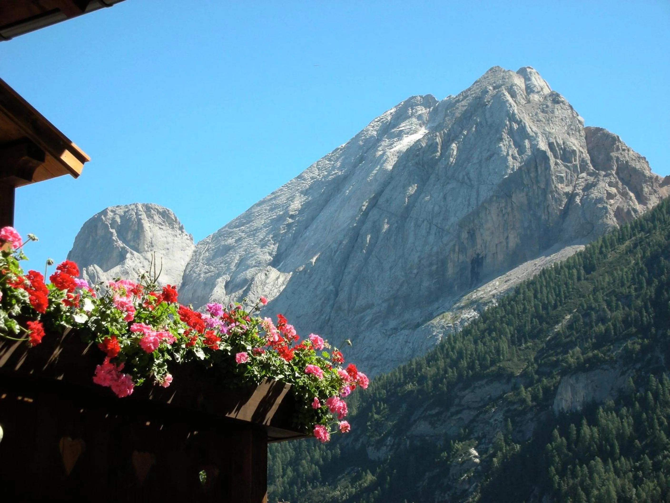 View (from property/room) in Villa Adria B&B