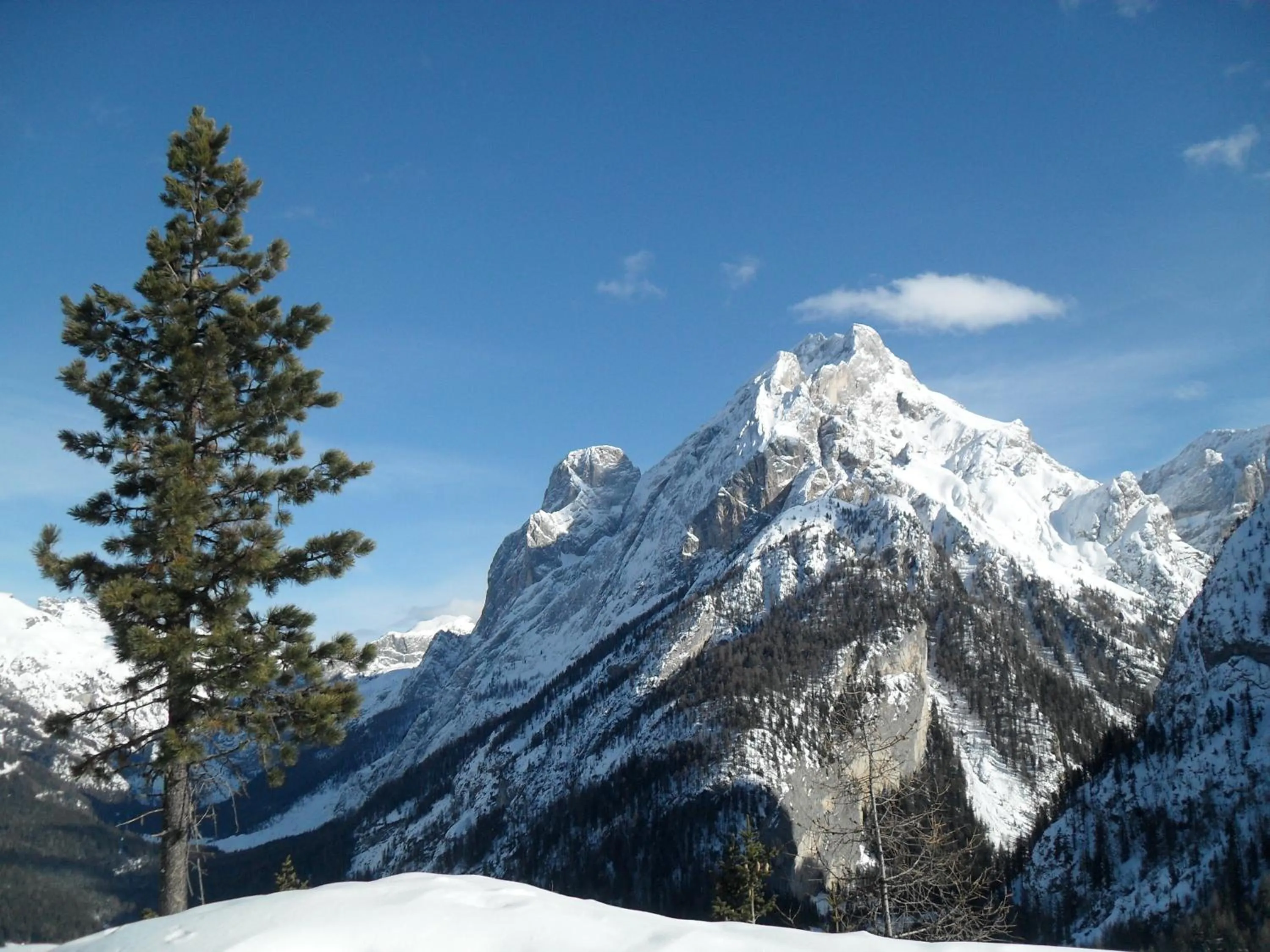 Area and facilities in Villa Adria B&B