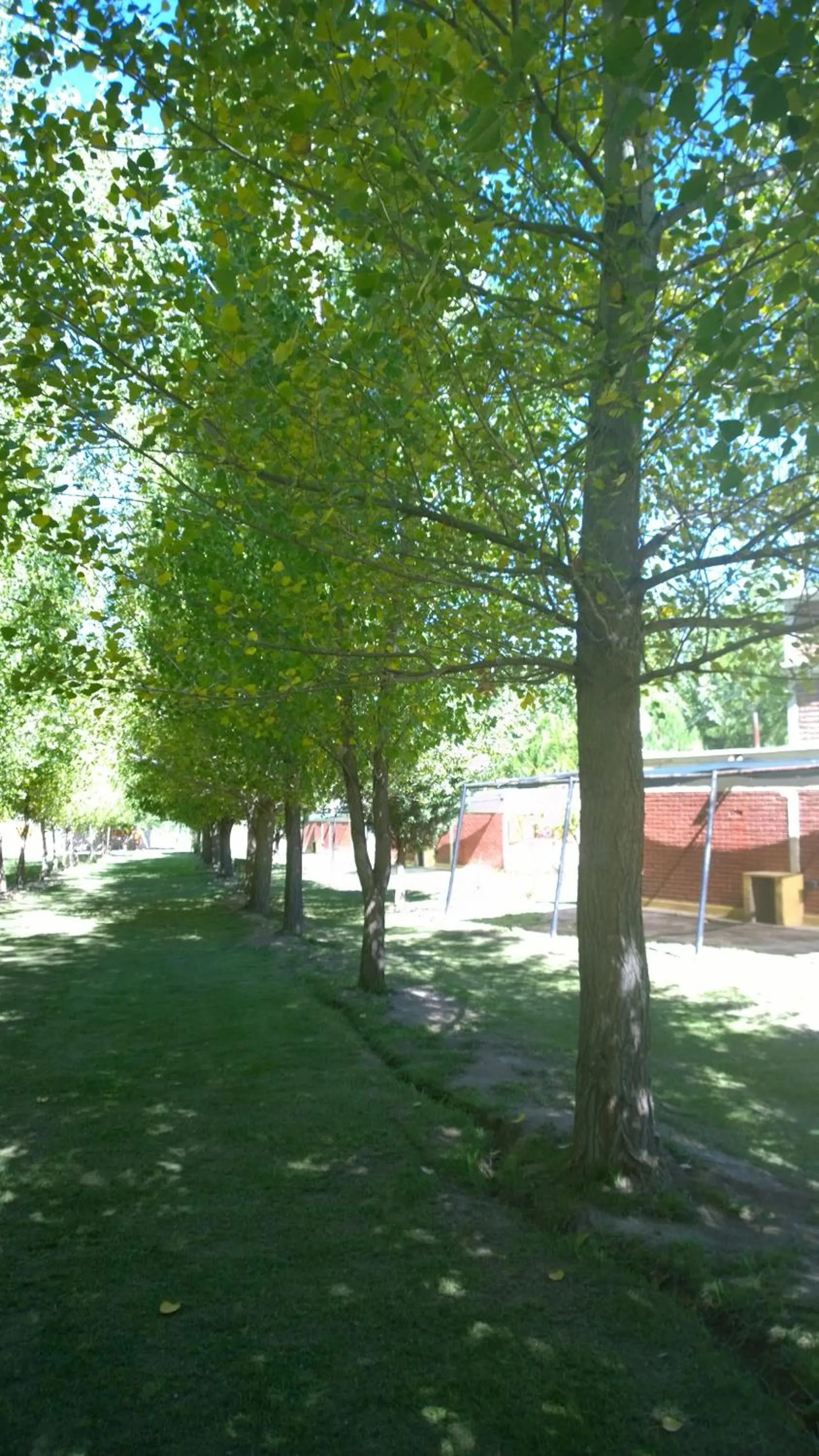 Garden in Cabañas Uspallata