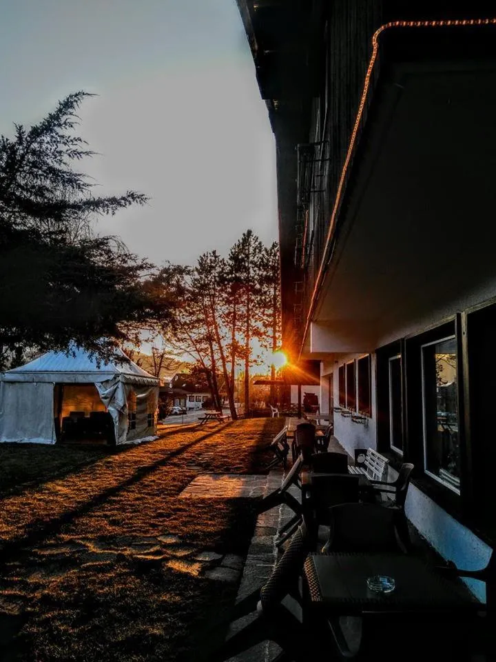 Garden in Hotel Regina Delle Dolomiti