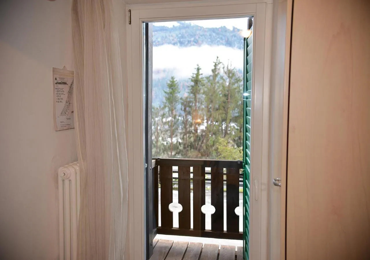 Balcony/Terrace in Hotel Regina Delle Dolomiti