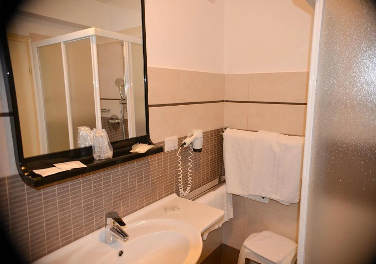 Shower in Hotel Regina Delle Dolomiti