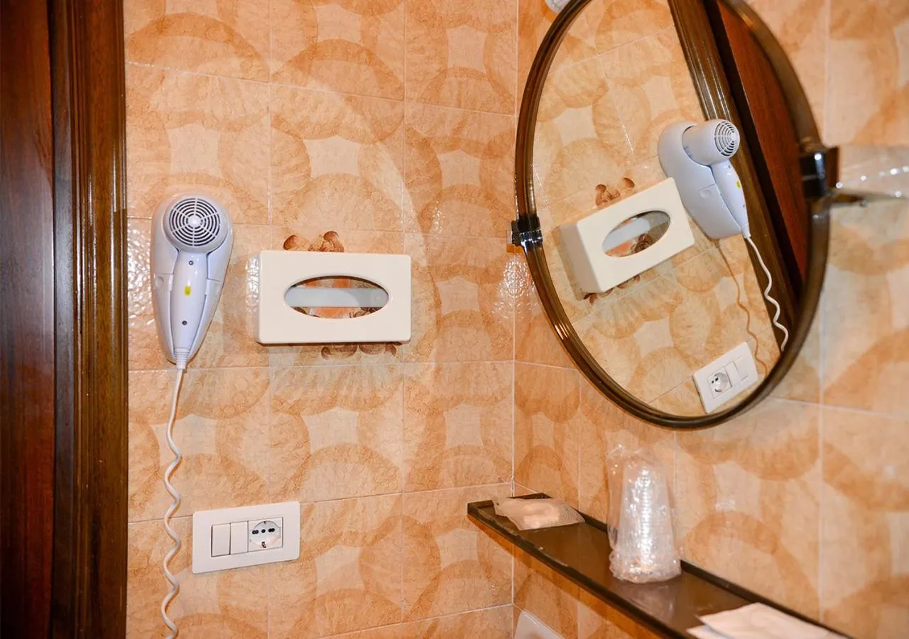 Shower in Hotel Regina Delle Dolomiti